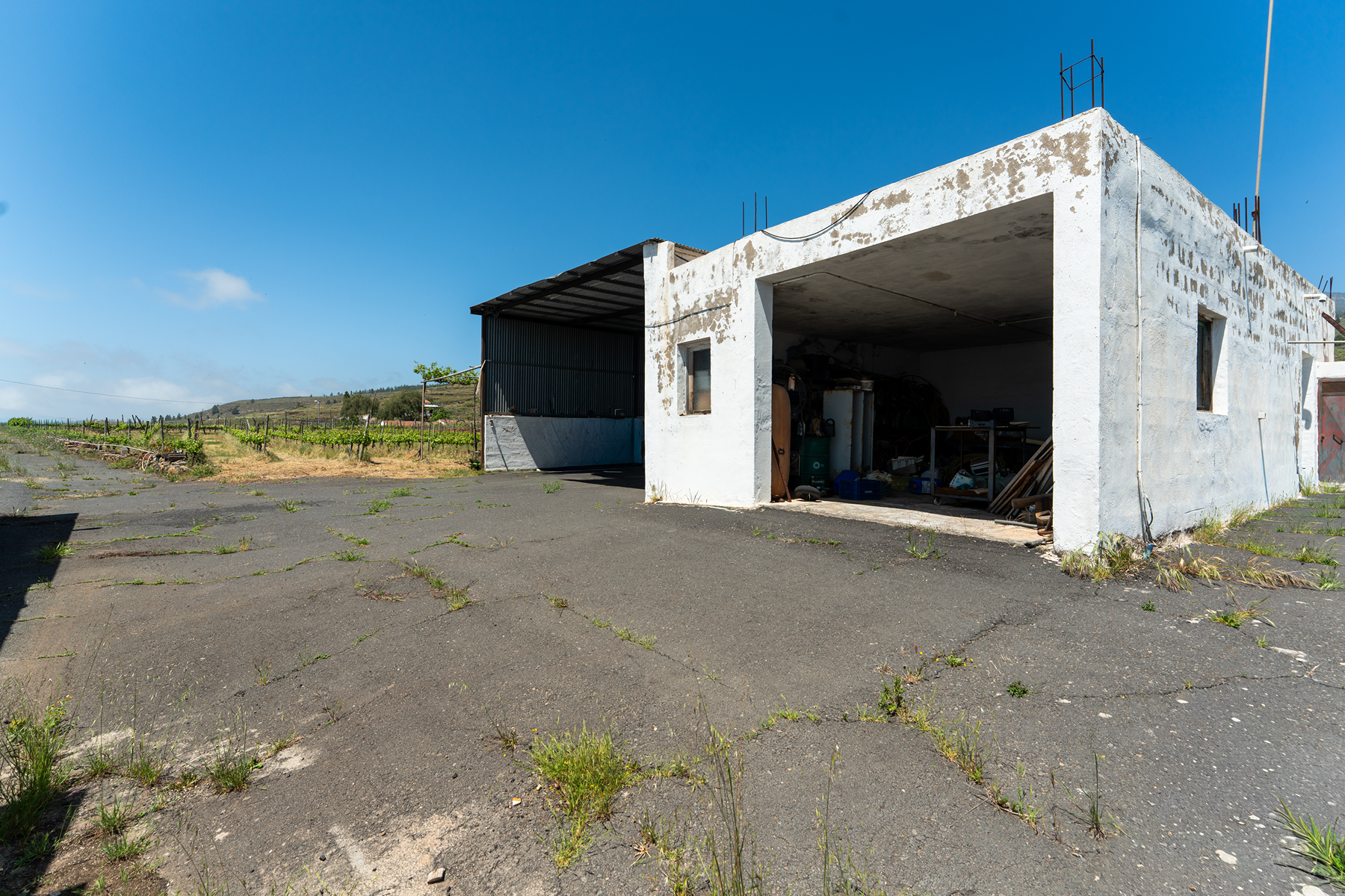 Traditional Agricultural Estate with Winery in Tenerife South - 物件實景