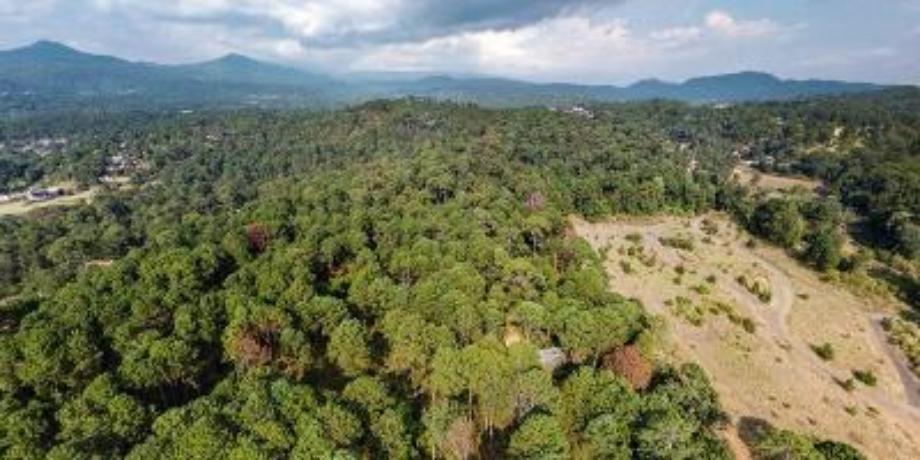 Valle de Bravo, Estado de méxico, 51200, Mexico, 1 Bedroom Bedrooms, ,Residential,For Sale,1721420