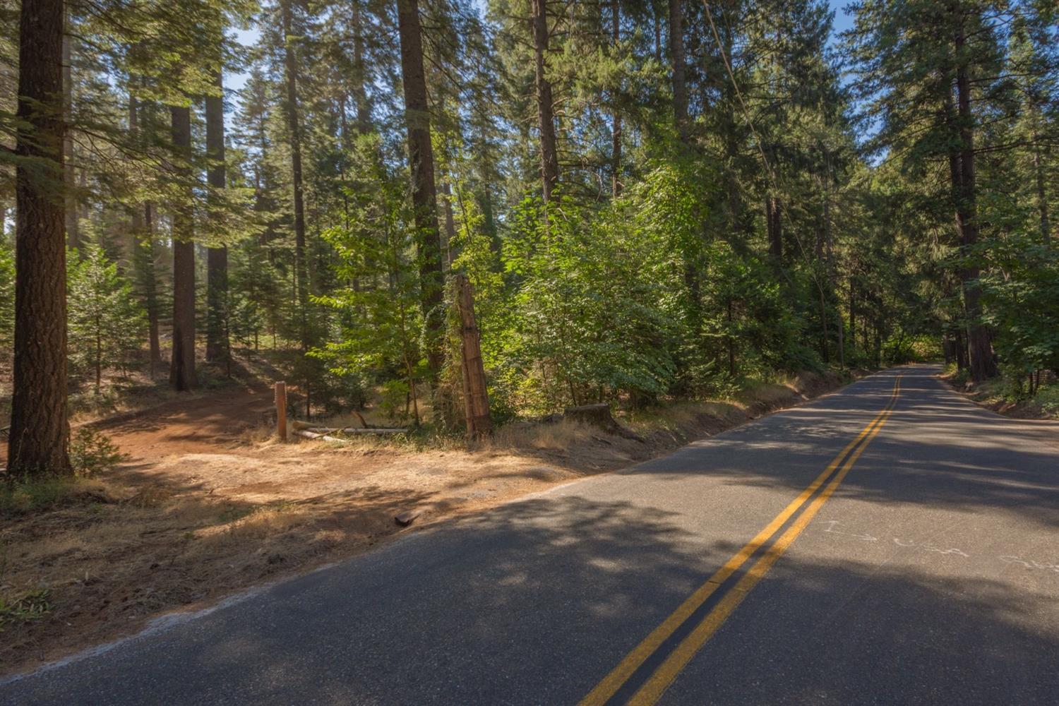 Pollock Pines, California, 95726, United States, ,Residential,For Sale,1982906
