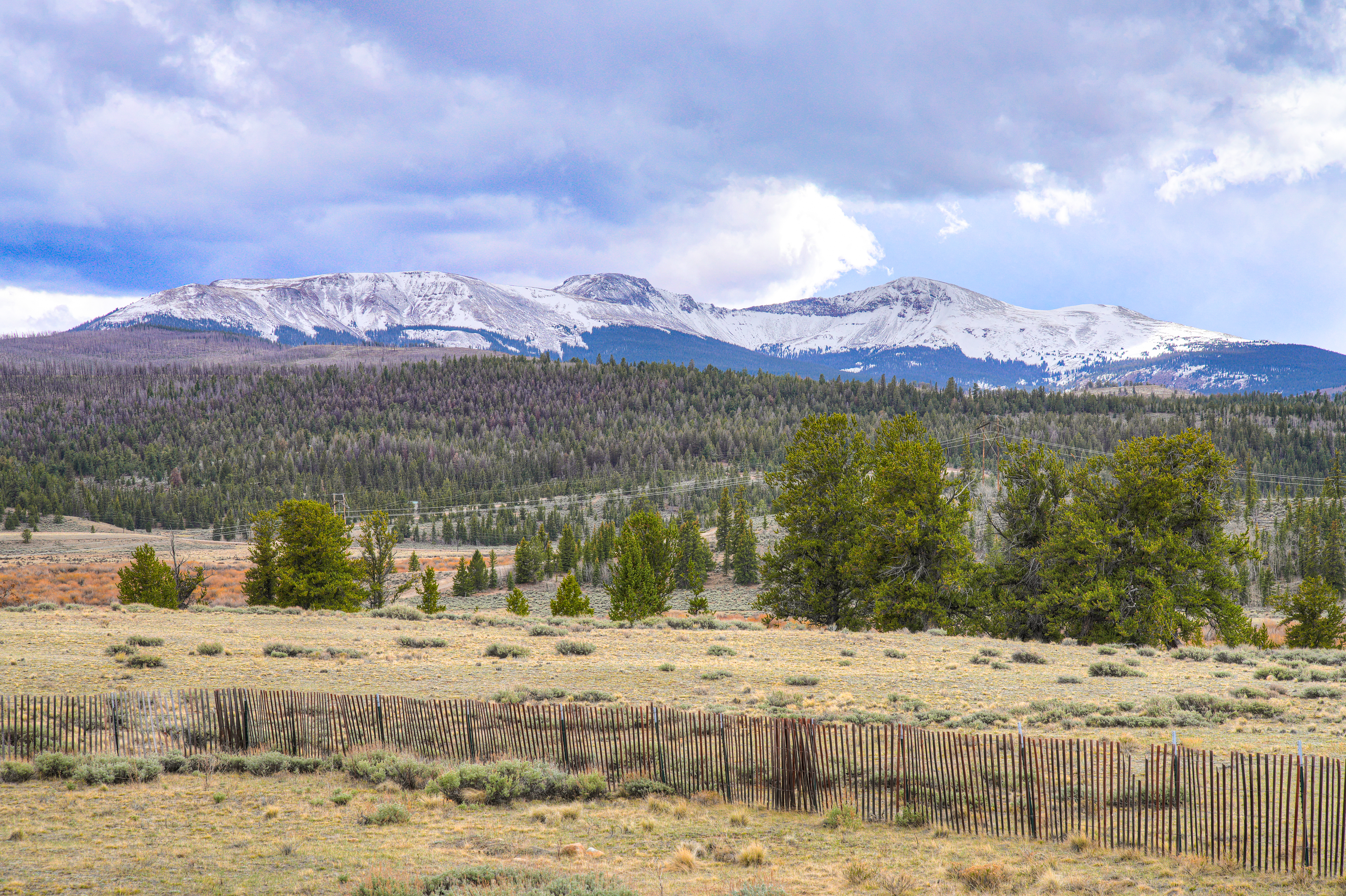  2867 Willow Creek Lane, Fairplay, CO, 80440 - 物件實景