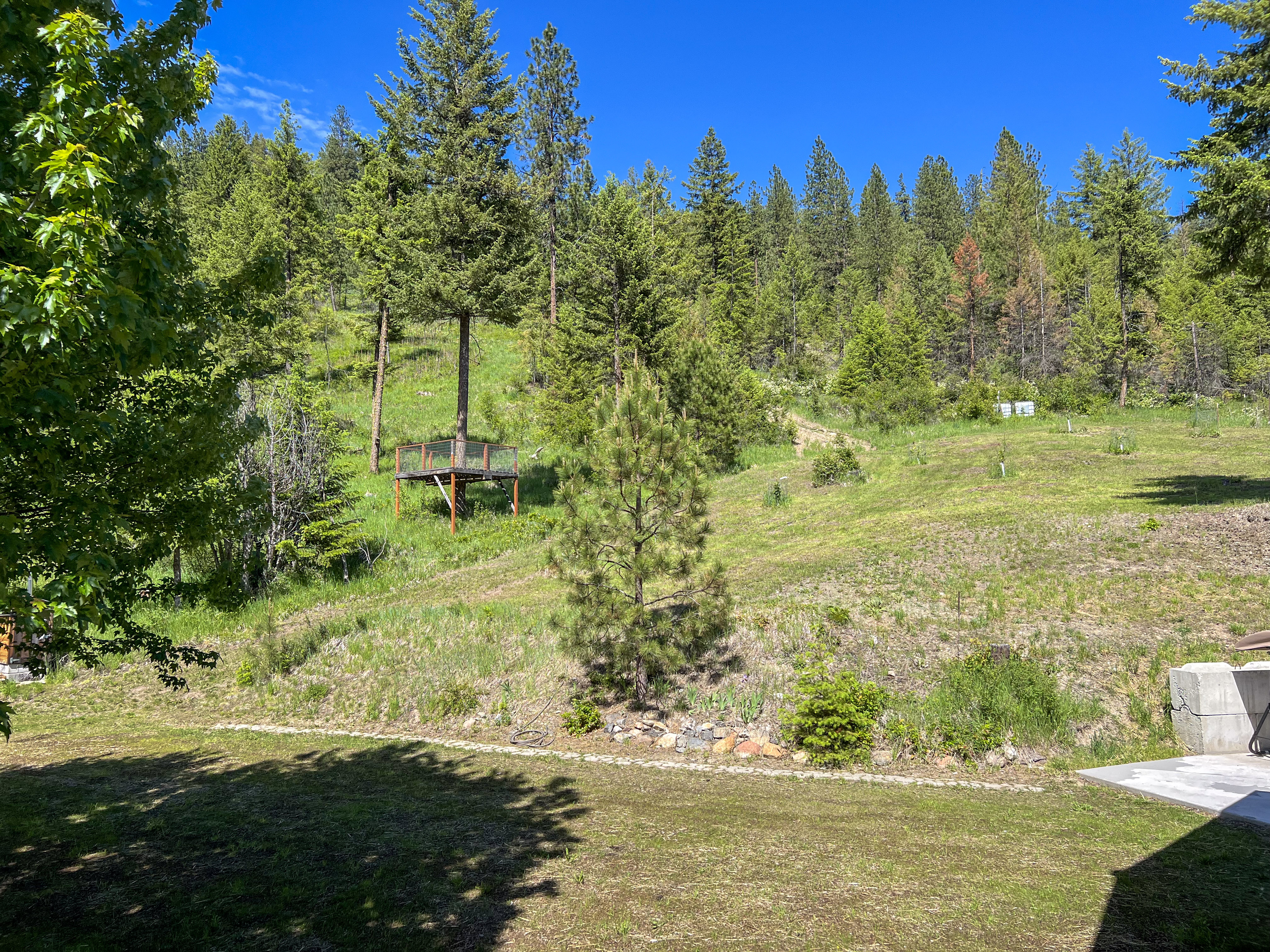 Colville, Washington, 99114, United States, 2 Bedrooms Bedrooms, ,2 BathroomsBathrooms,Residential,For Sale,1928739