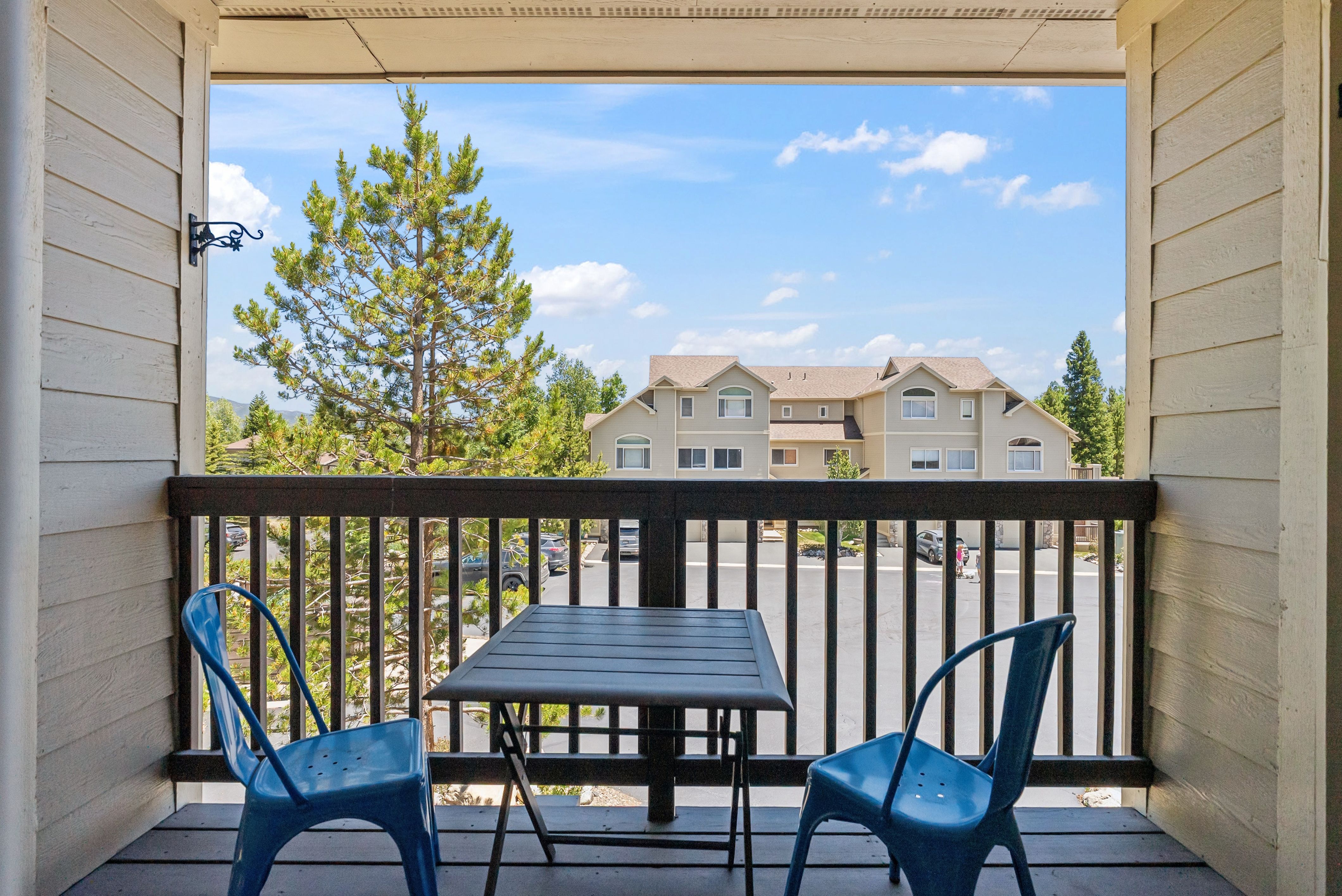  103 Morningstar Circle, Frisco, CO, 80443 - 物件實景