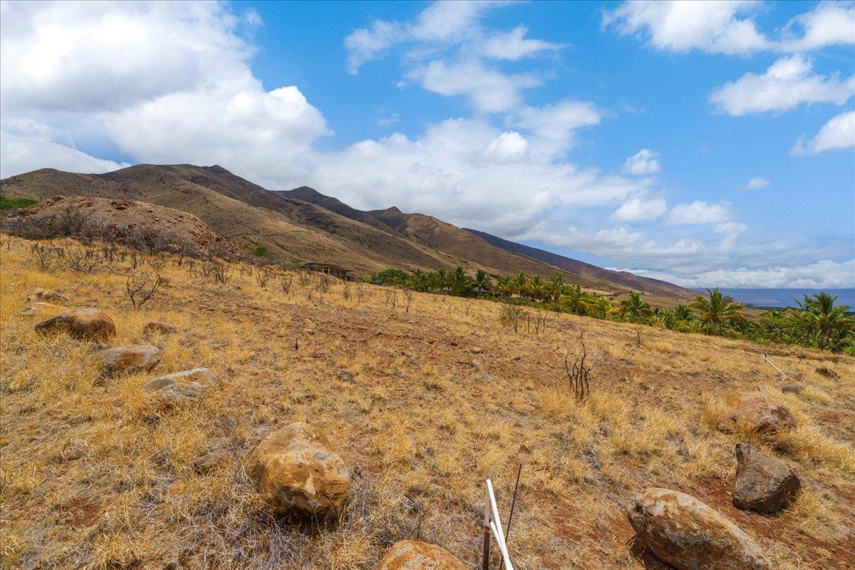 Lahaina, Hawaii, 96761, United States, ,Land,For Sale,1982437