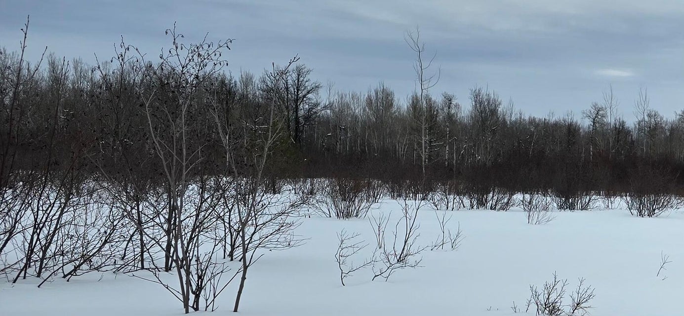 Sault Ste Marie, Michigan, 49783, United States, ,Land,For Sale,1977919