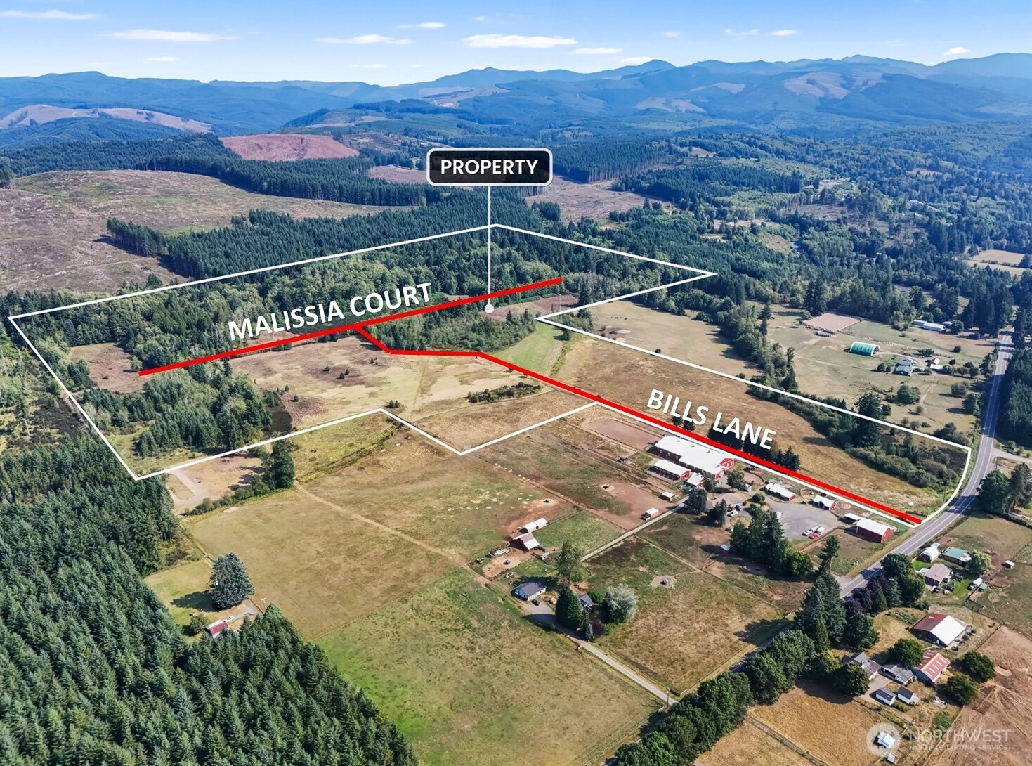 Onalaska, Washington, 98570, United States, ,Land,For Sale,1994245