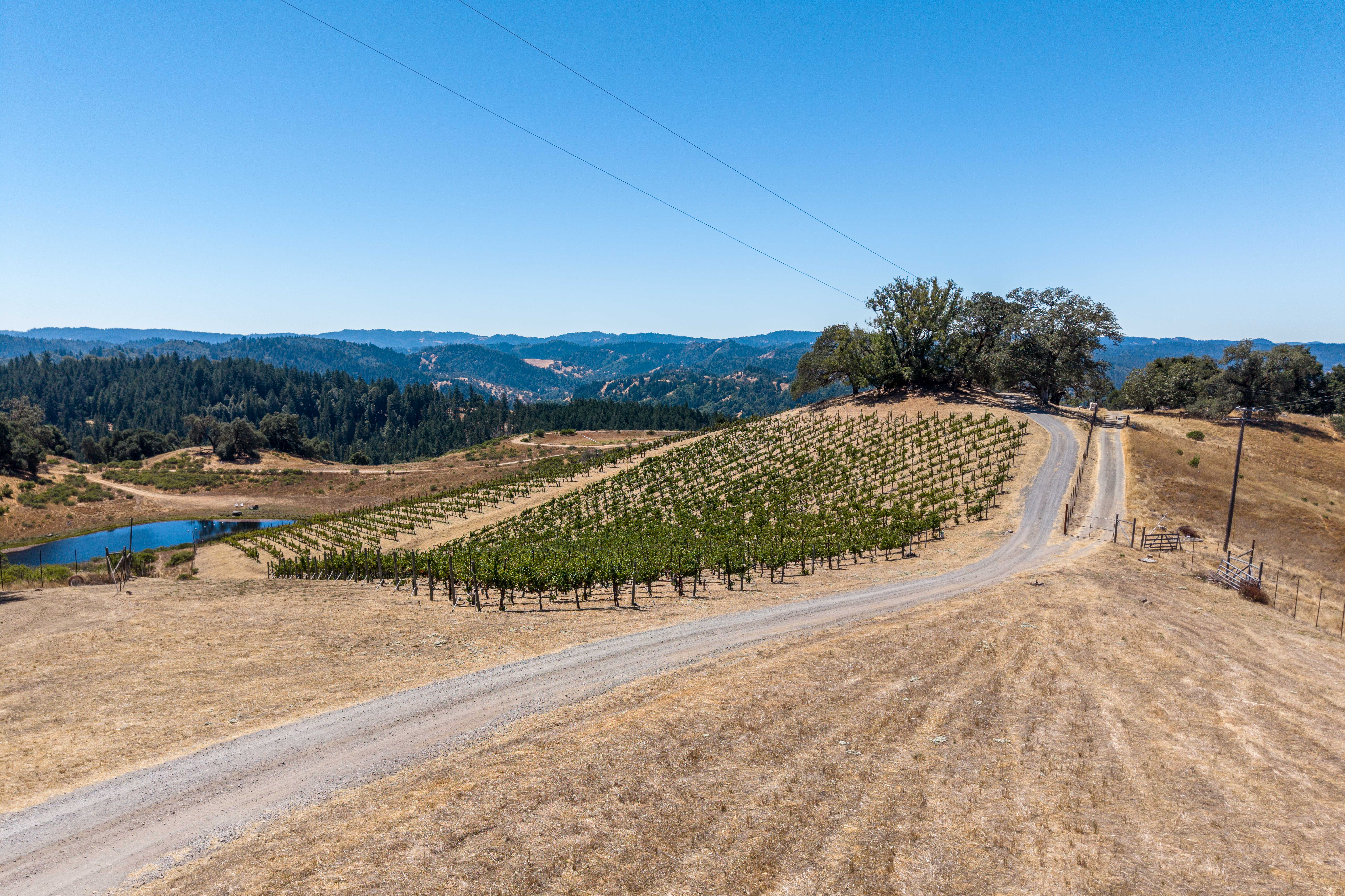  18115 Highlands Ridge Road, Yorkville, CA 95494 - 物件實景