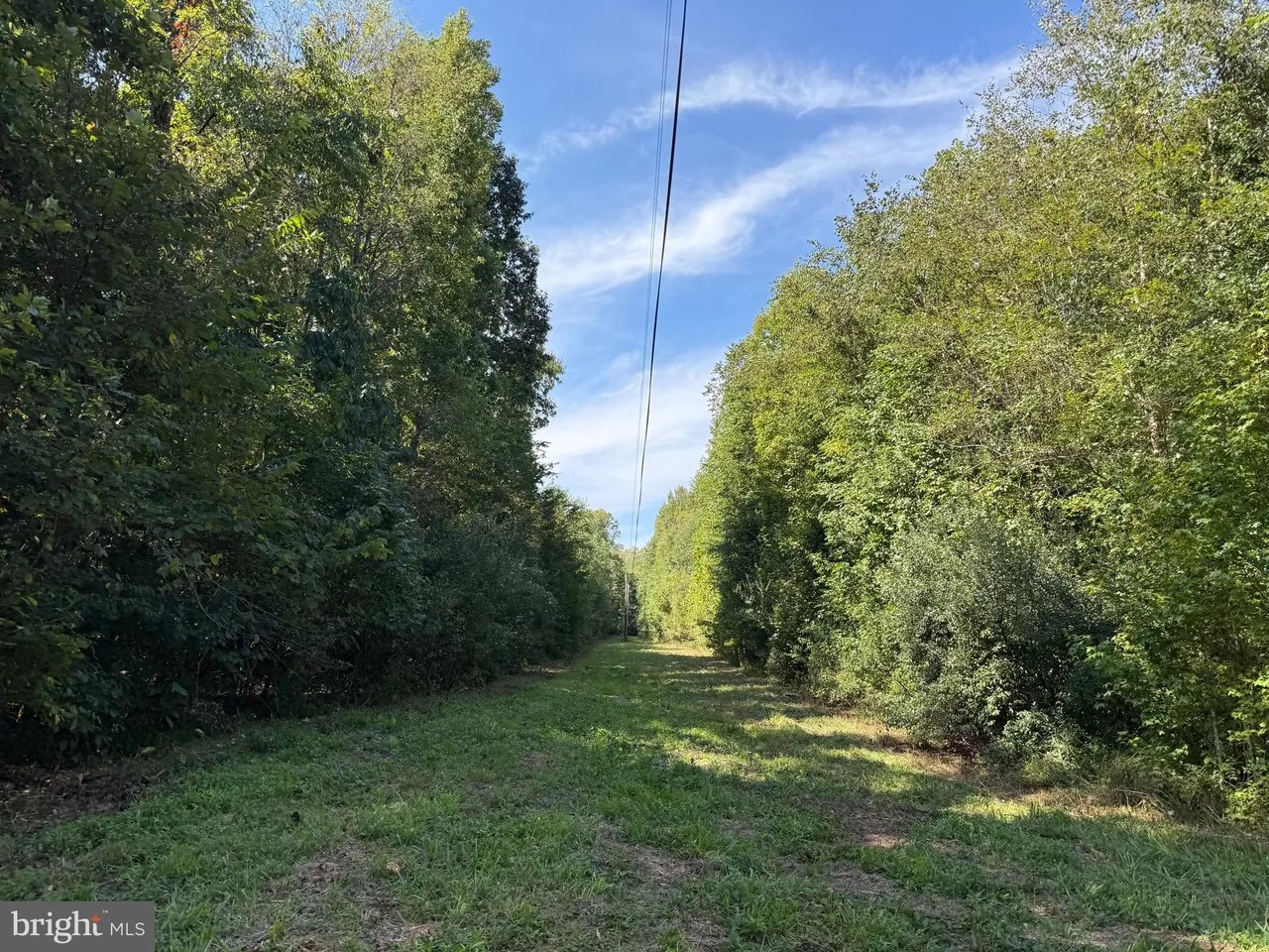 Appomattox, Virginia, 24522, United States, ,Land,For Sale,1982903