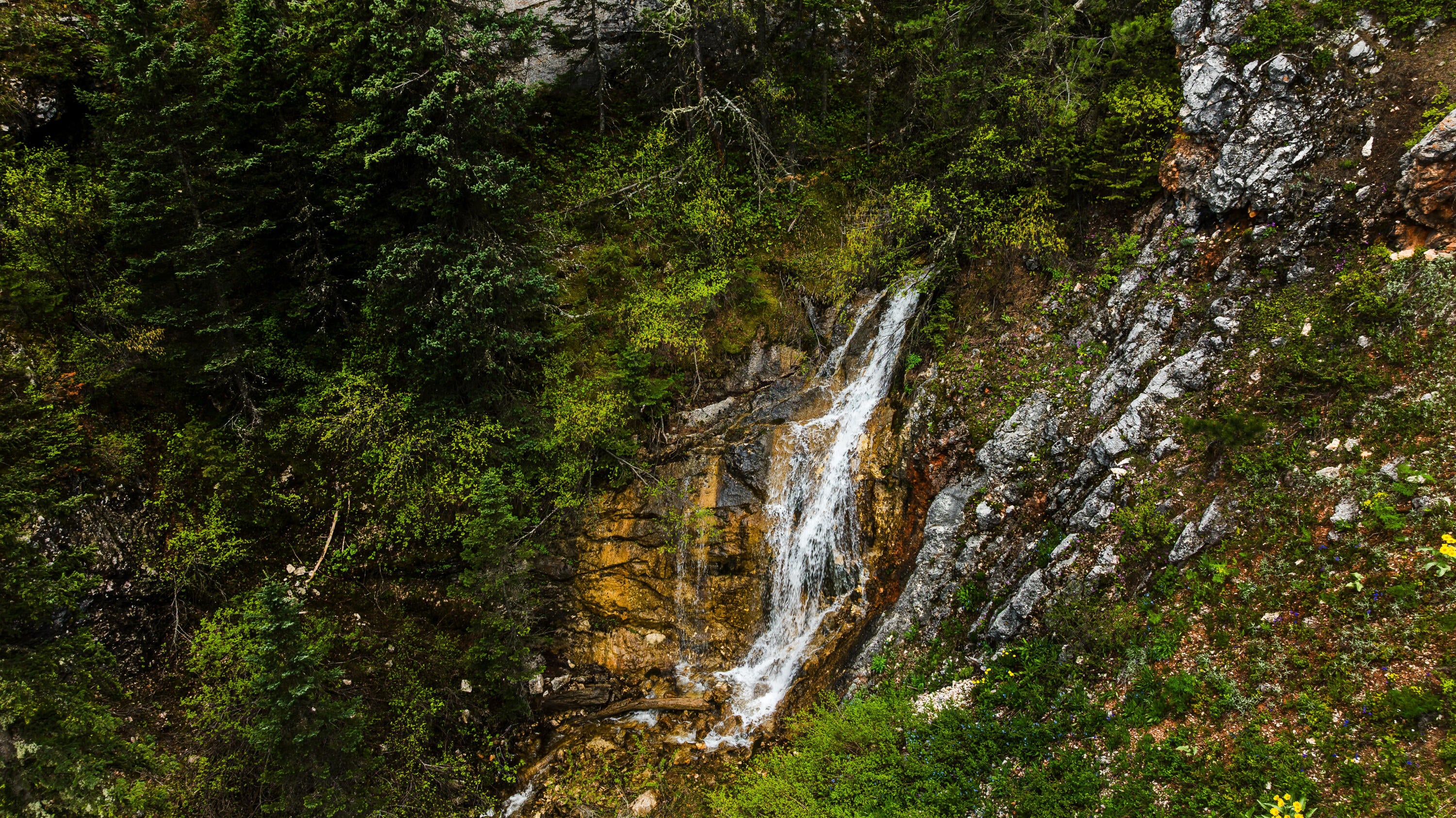 Big Horn, Wyoming, 82833, United States, ,Residential,For Sale,2011314