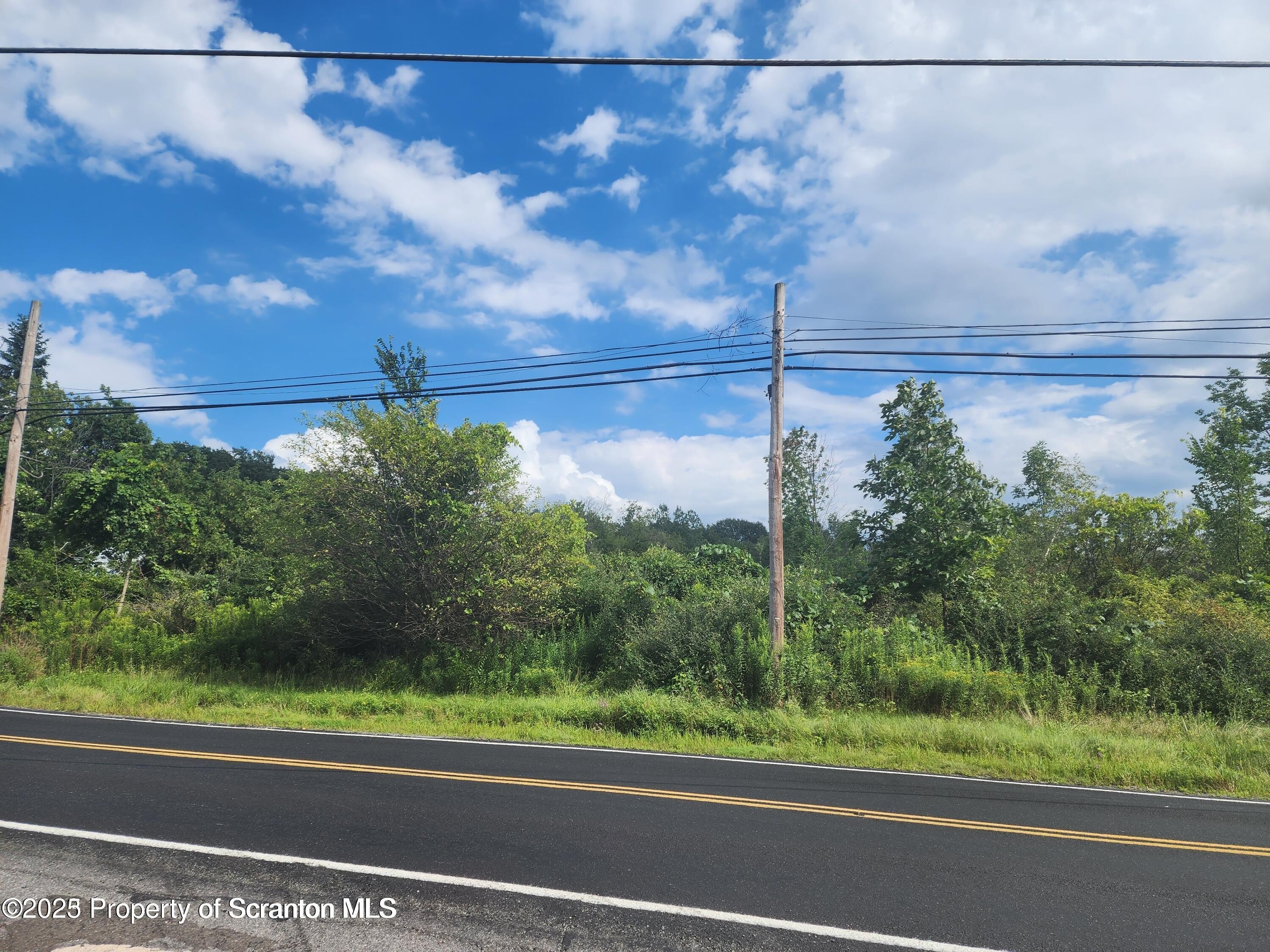 Newton Twp, Pennsylvania, 18411, United States, ,Land,For Sale,1980974