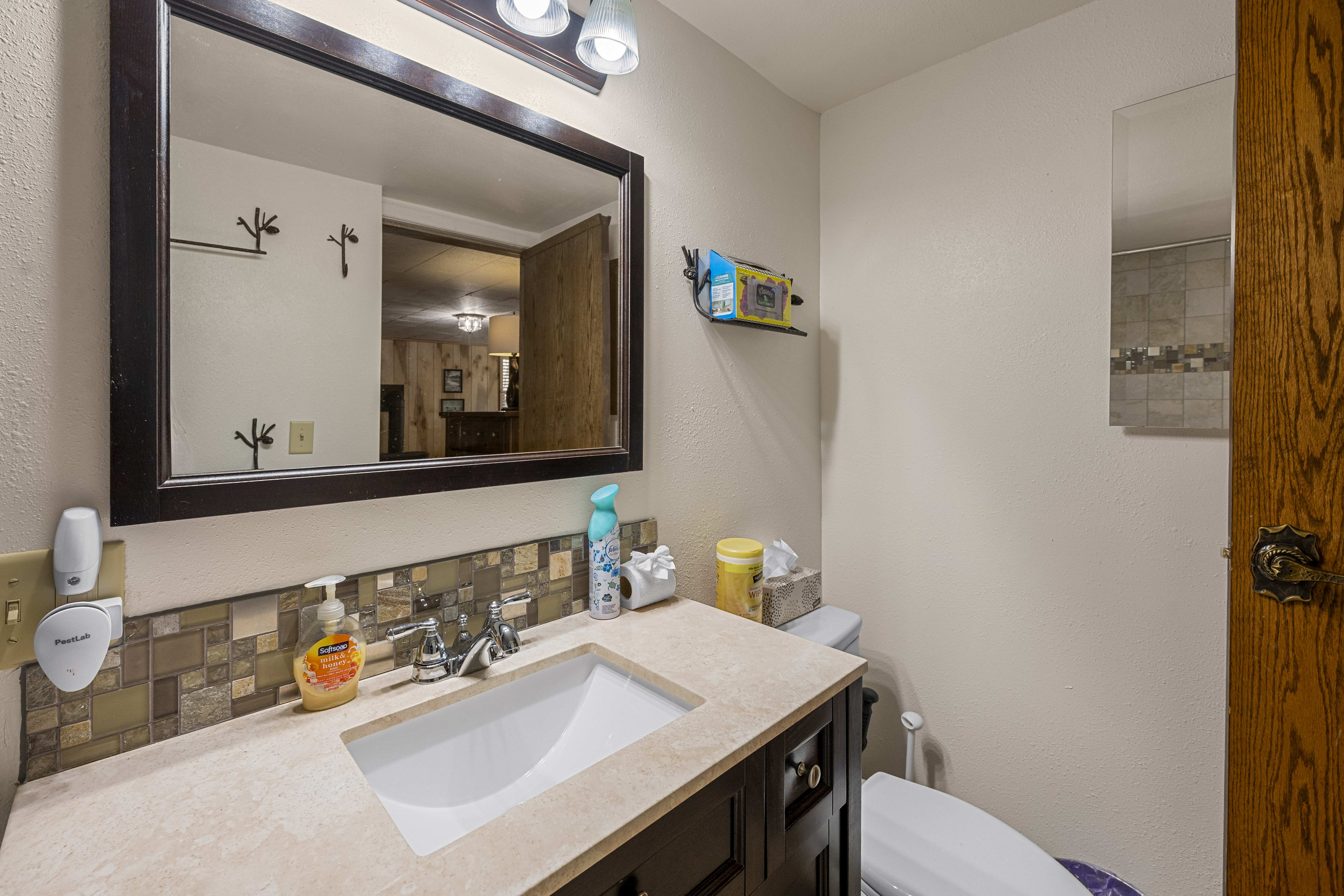  82 Lakeview Lane, Fawnskin, CA 92333 - 物件實景