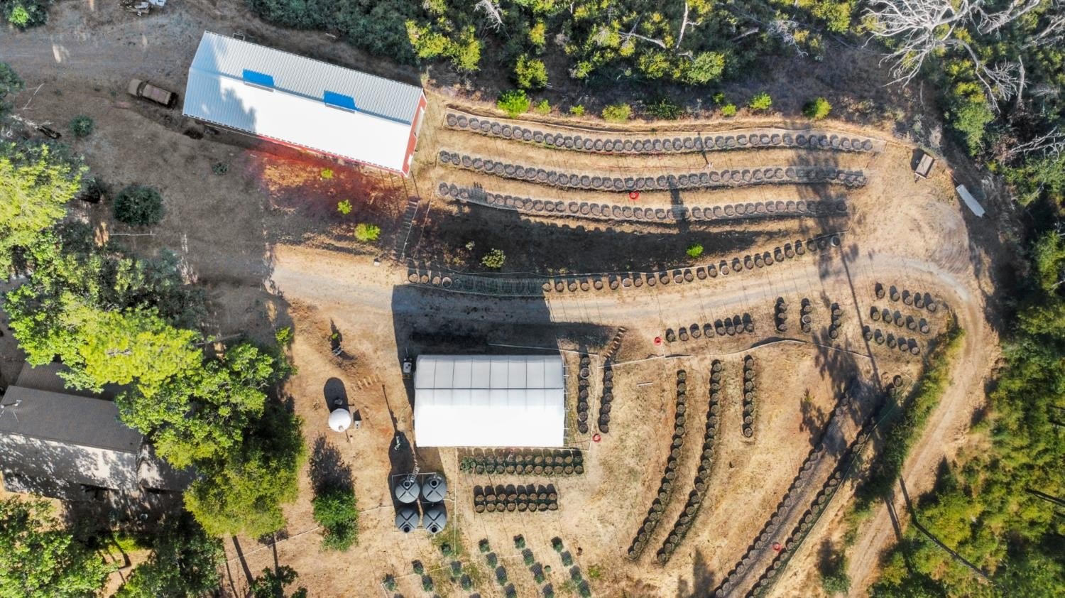 Mountain Ranch, California, 95246, United States, ,Land,For Sale,1981446