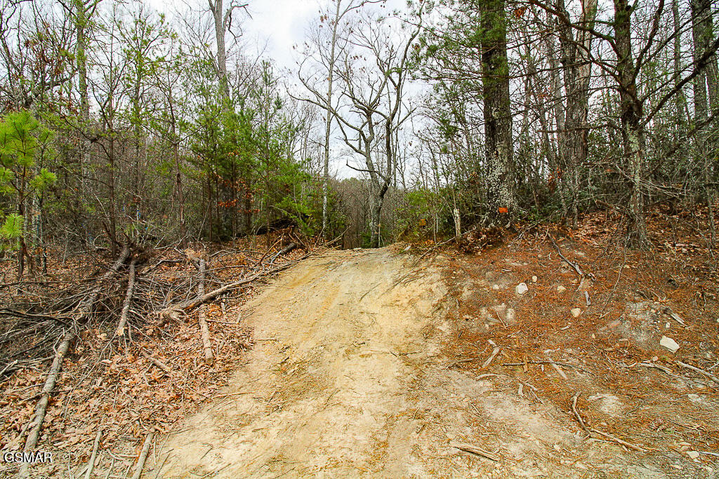 Sevierville, Tennessee, 37876, United States, ,Land,For Sale,2009102