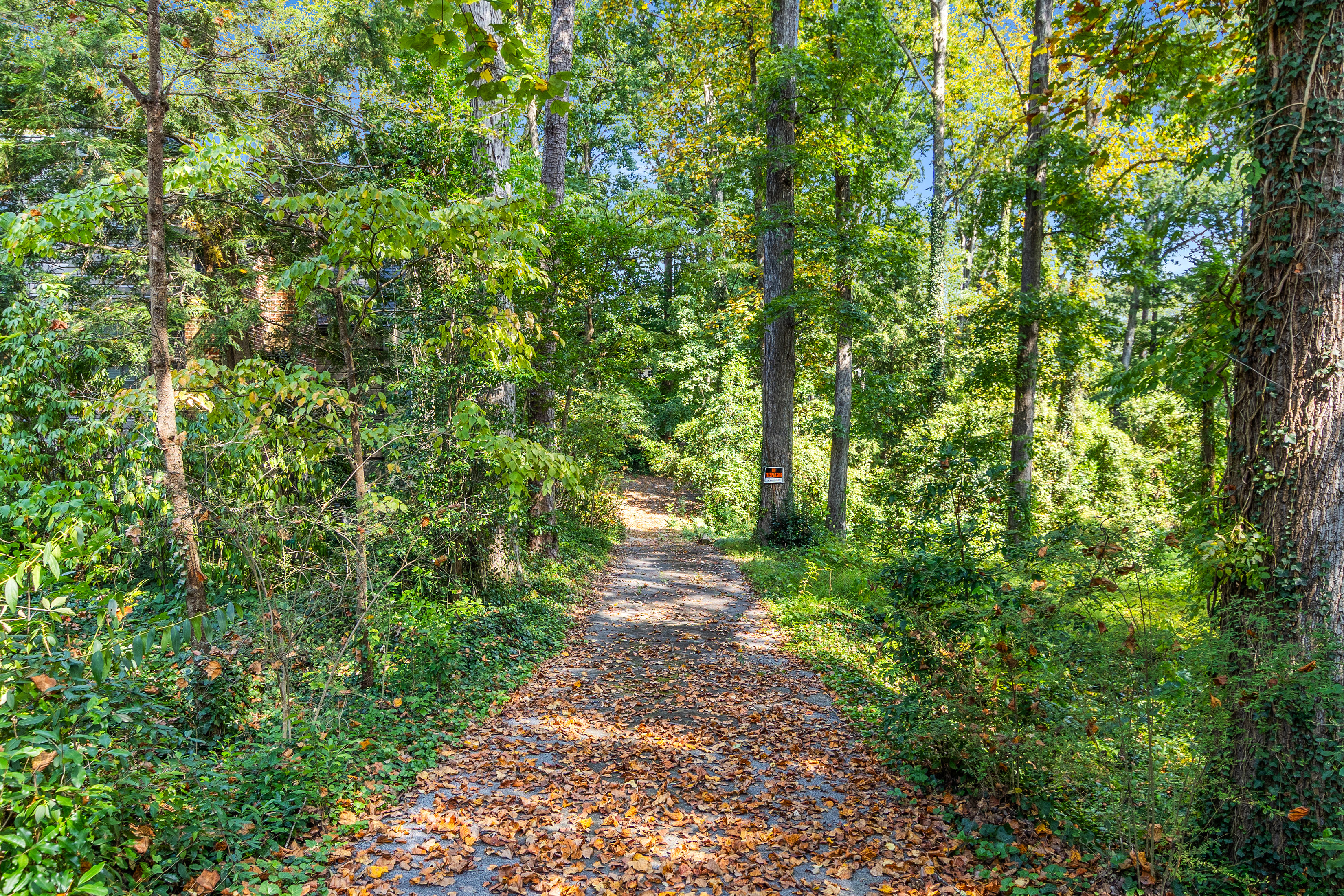  Three Contiguous Lots for New Construction in Historic Druid Hills - 物件實景