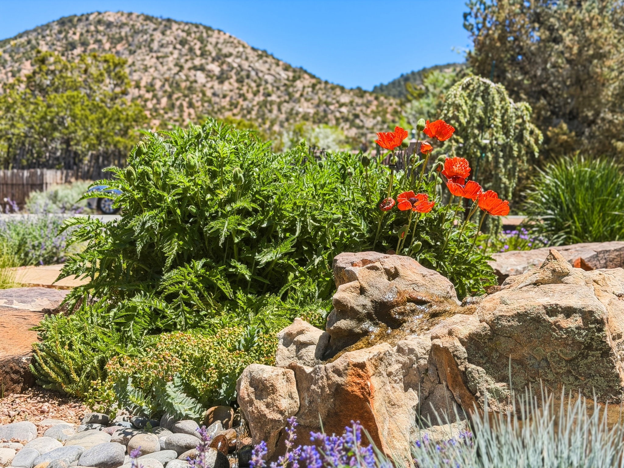  3876 Old Santa Fe Trail - 物件實景
