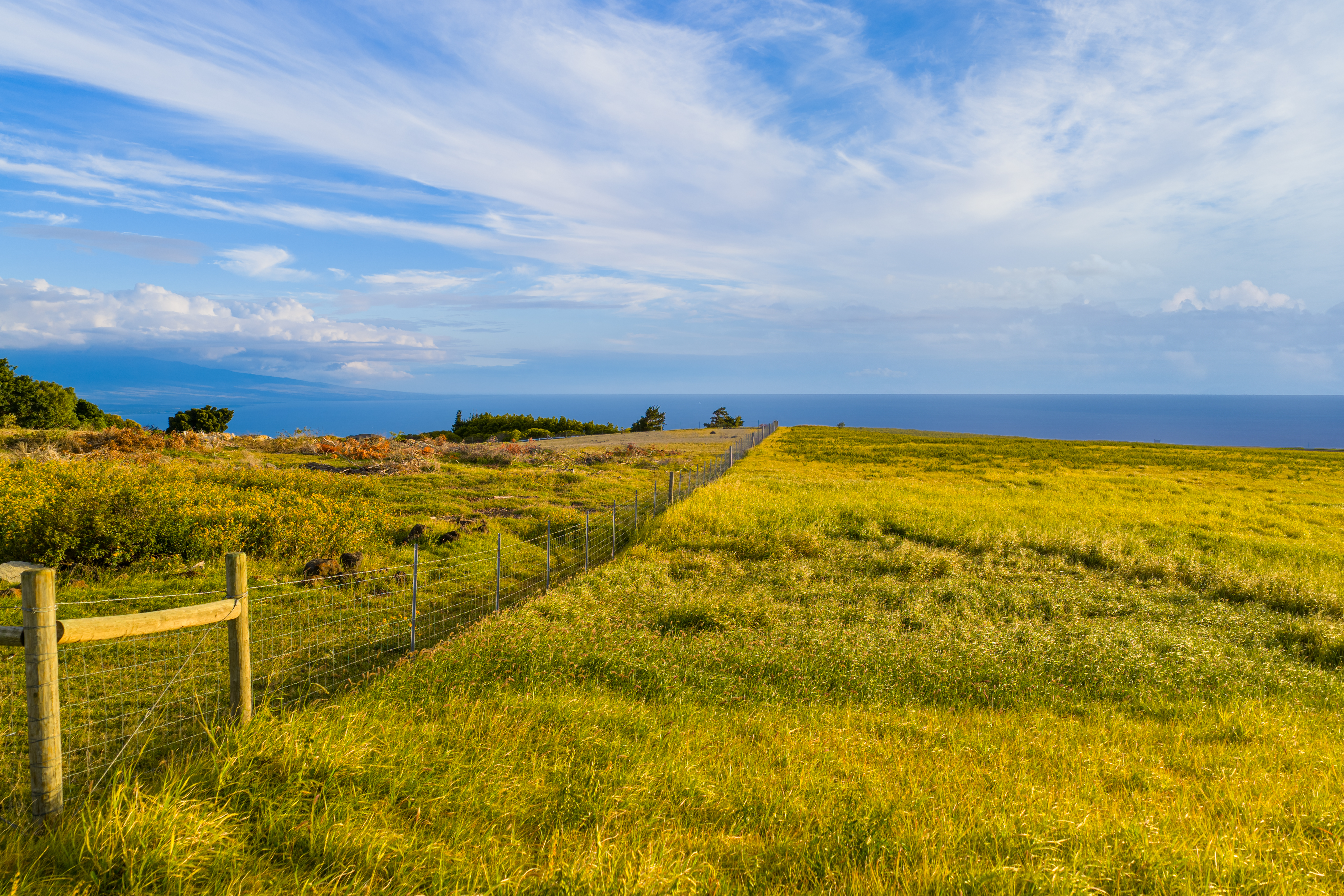  695 Ualani Pl, Kamuela, HI, 96743 - 物件實景