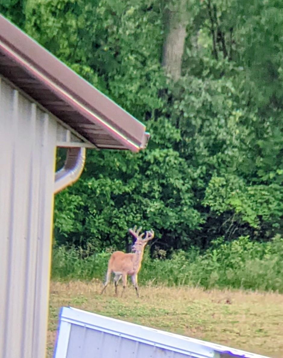 Black Creek, Wisconsin, 54106, United States, 4 Bedrooms Bedrooms, ,4 BathroomsBathrooms,Residential,For Sale,2009234