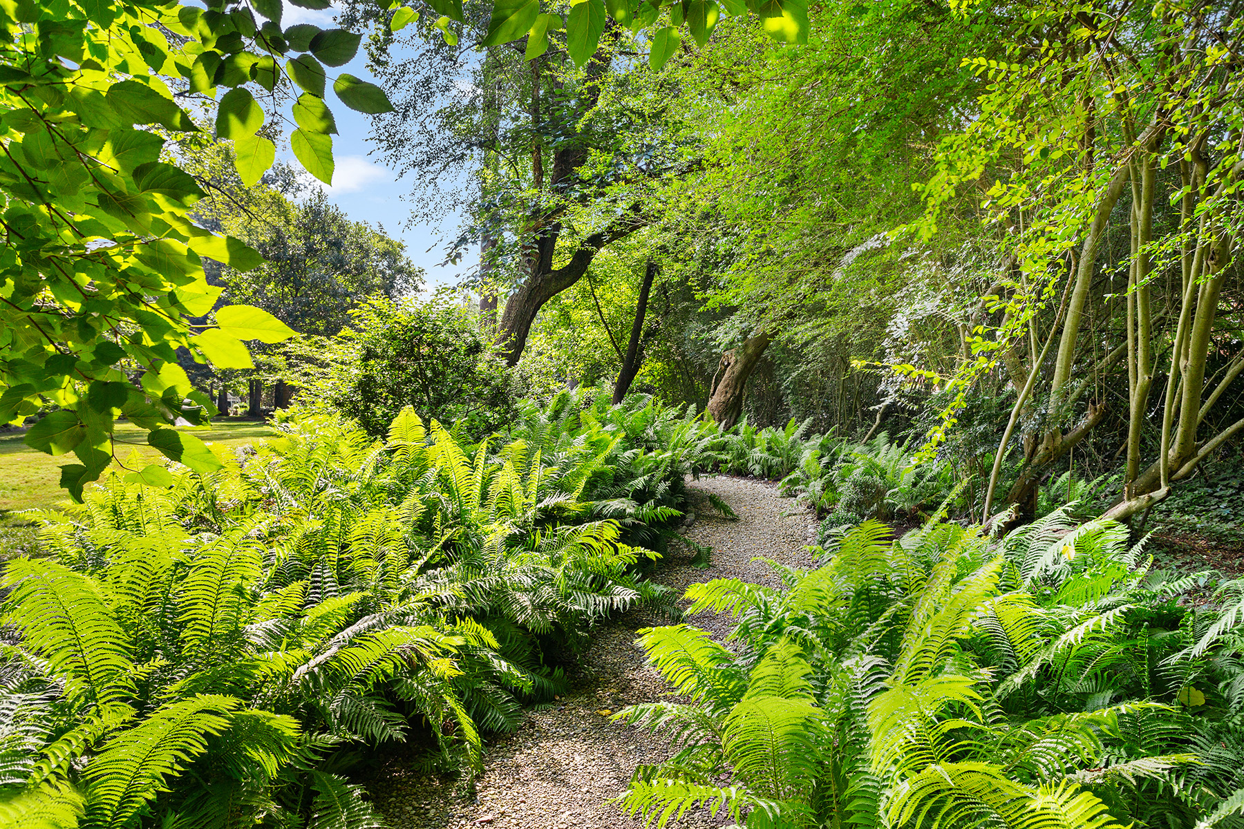  Incredible Opportunity to Create Your Dream Home in Buckhead - 物件實景