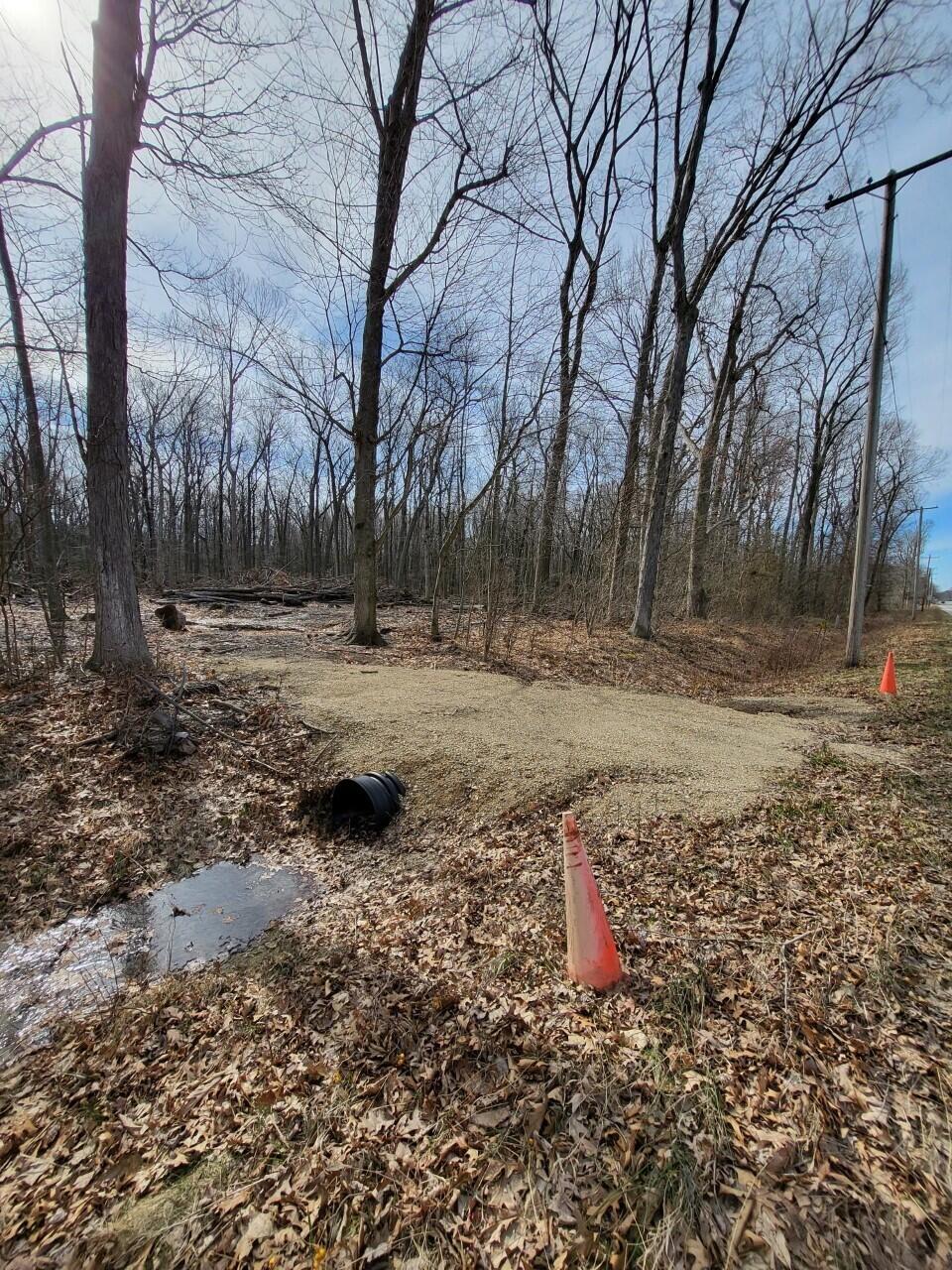 Union Pier, Michigan, 49129, United States, ,Land,For Sale,1989397