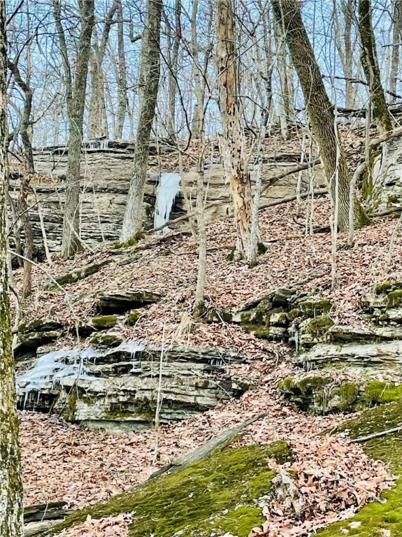 Berryville, Arkansas, 72616, United States, 6 Bedrooms Bedrooms, ,4 BathroomsBathrooms,Residential,For Sale,1988341