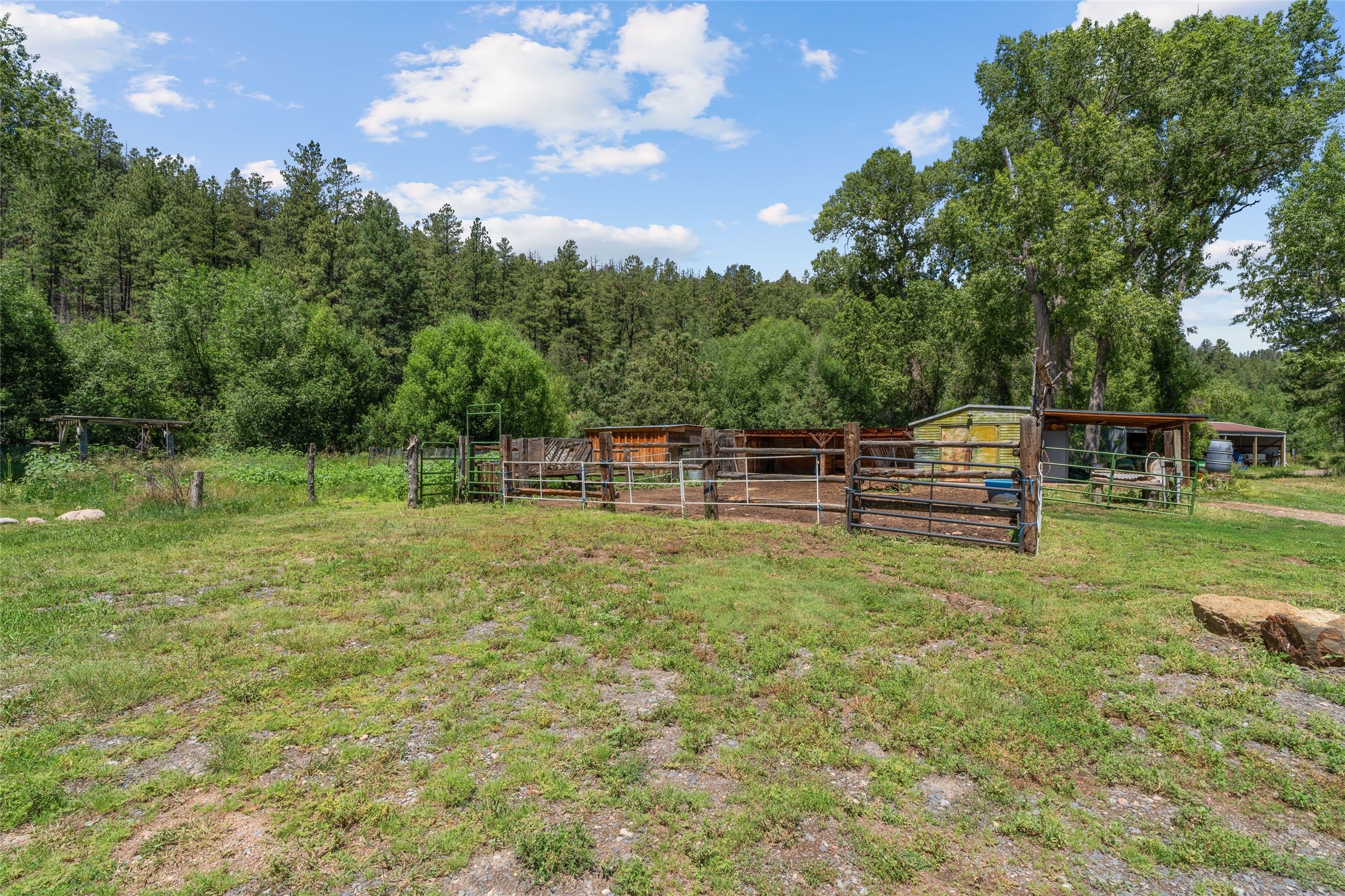  997 New Mexico Highway 65 - Rio de Vega Ranch - 物件實景