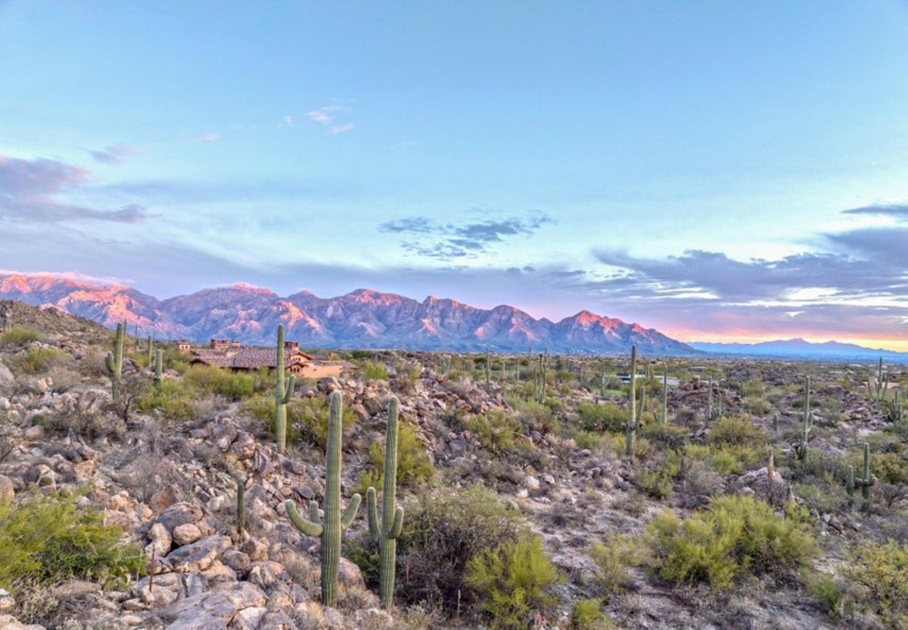  1178 Tortolita Mountain Circle 196¦Oro Valley, AZ - 物件實景