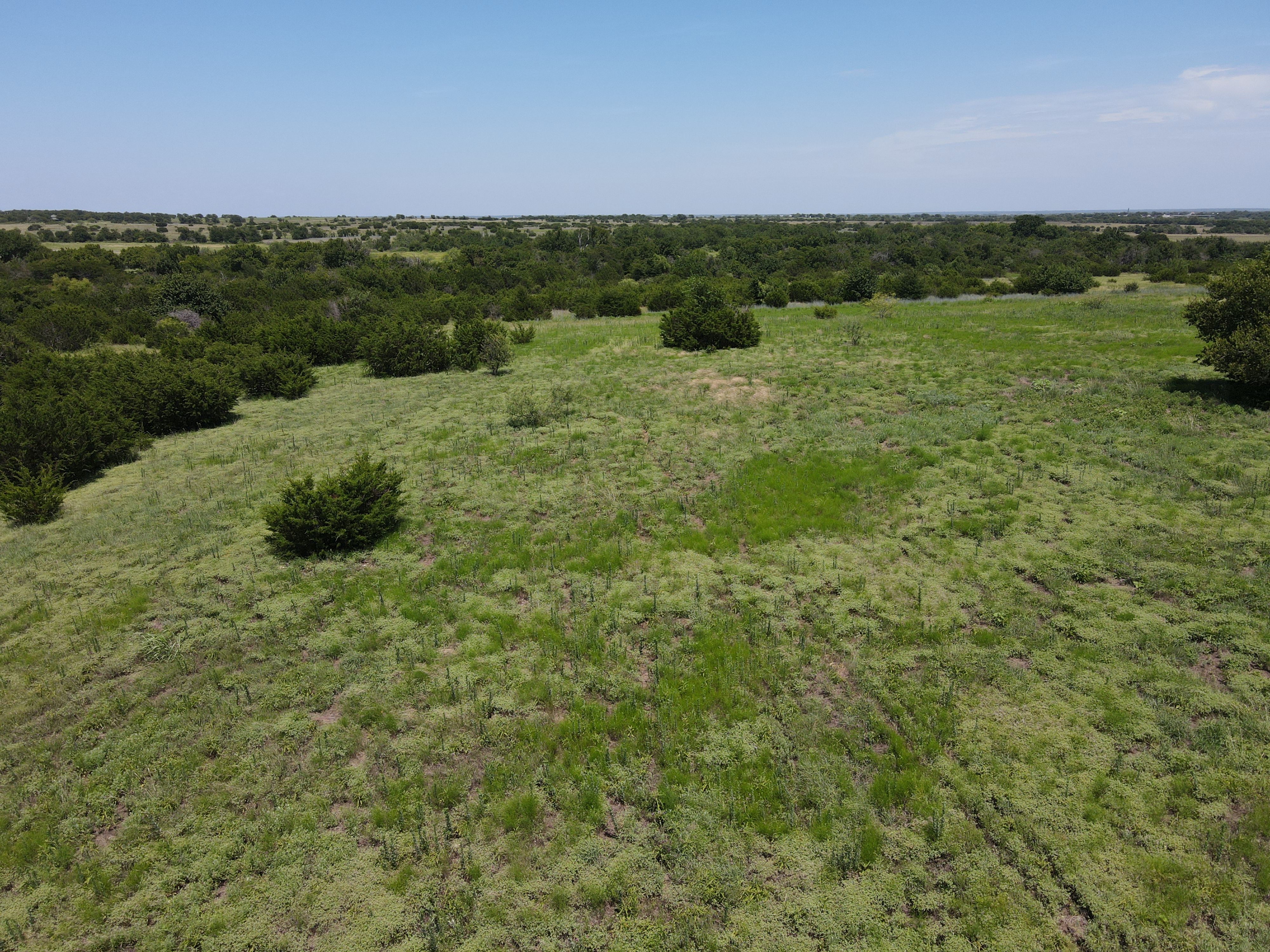  3681 County Road 1434, Cleburne, TX, 76033 - 物件實景