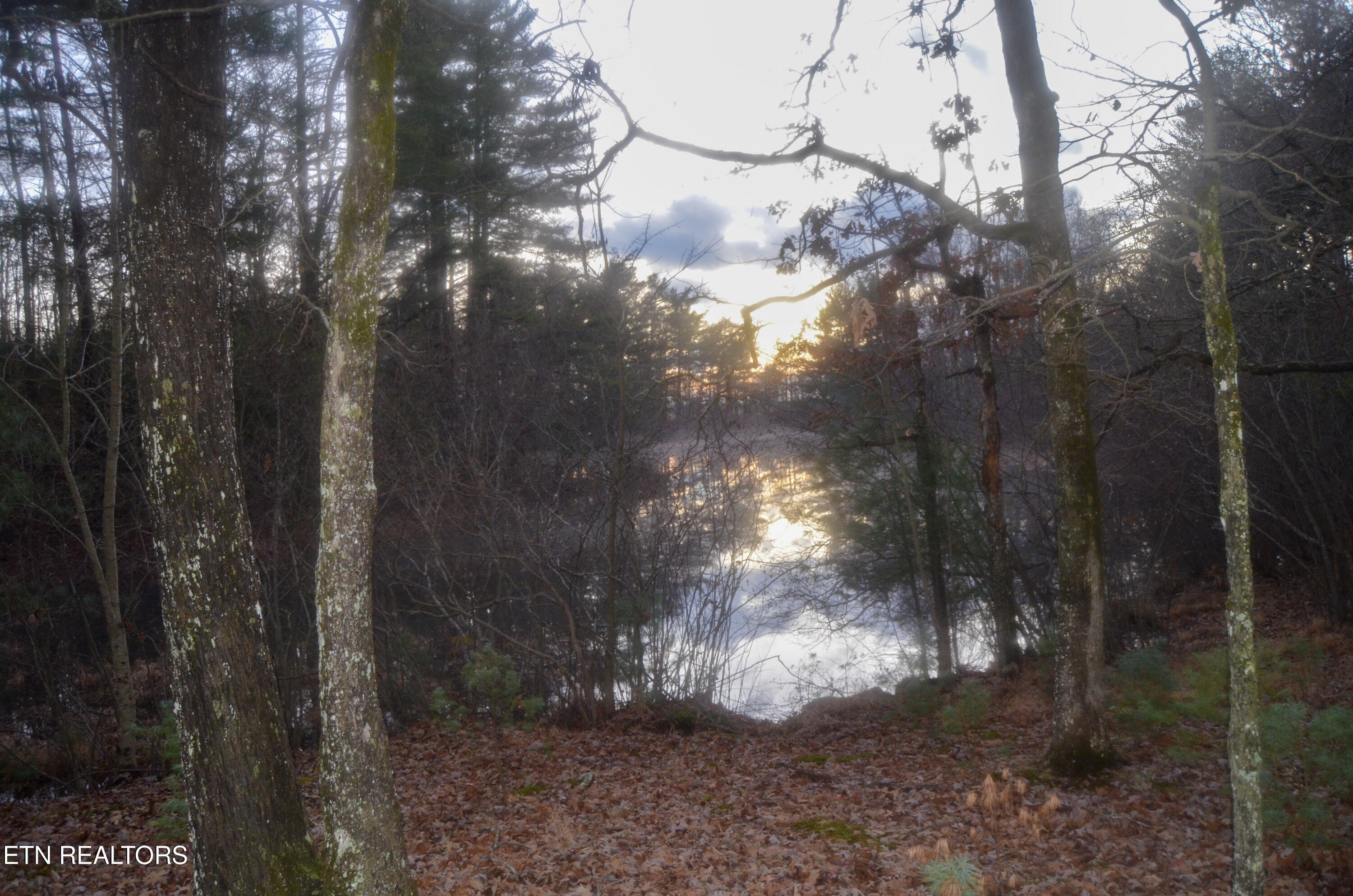 Crossville, Tennessee, 38555, United States, ,Land,For Sale,1978266