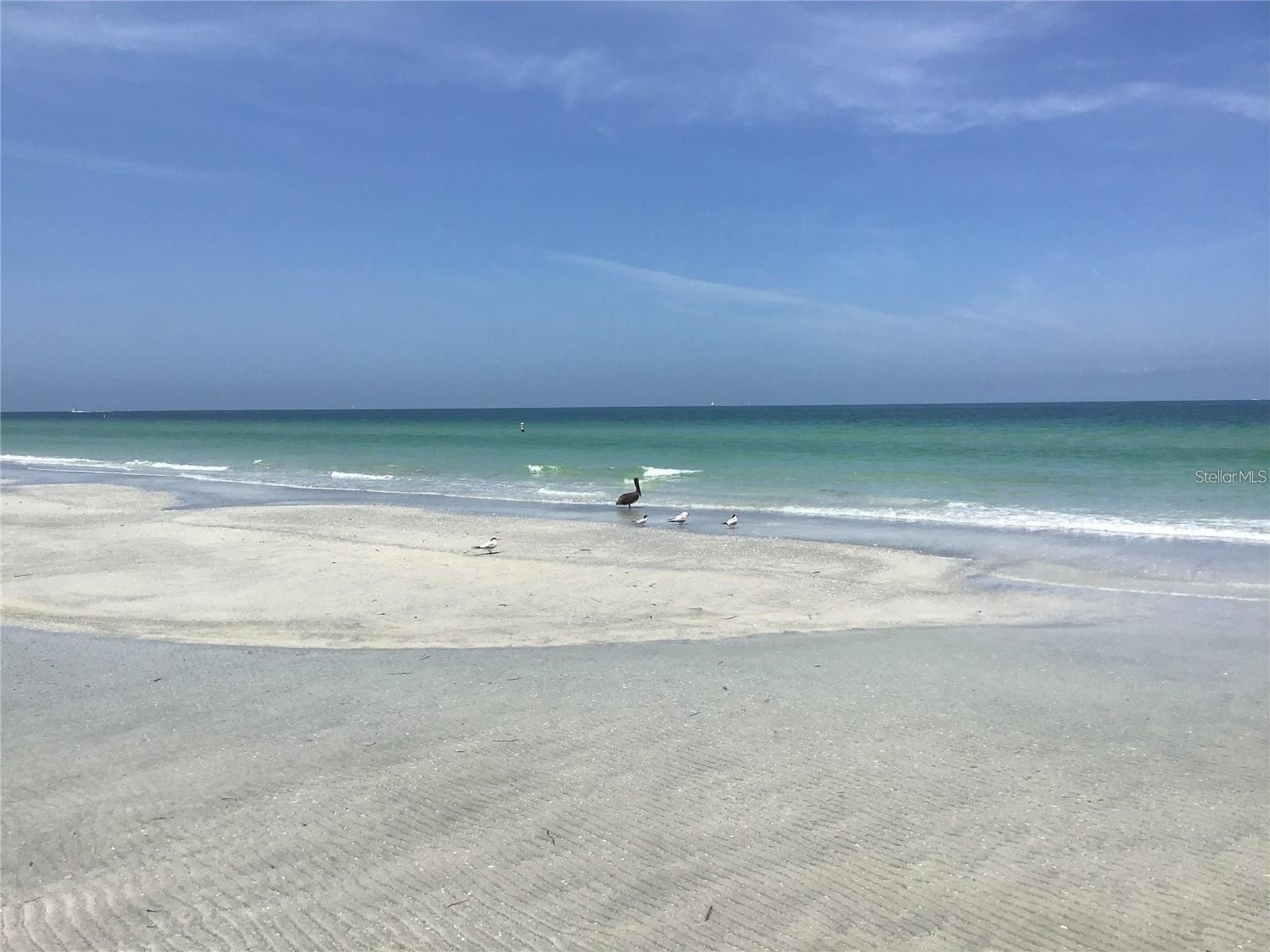 CLEARWATER BEACH, Florida, 33767, United States, 2 Bedrooms Bedrooms, ,2 BathroomsBathrooms,Residential,For Sale,1990793