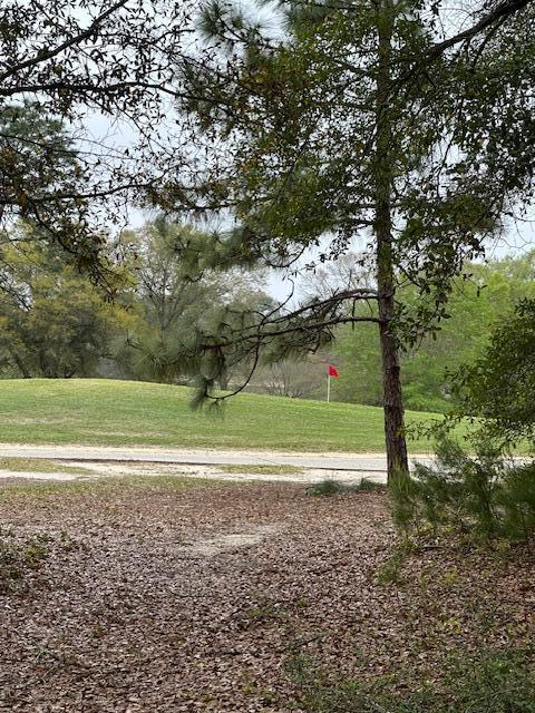 Niceville, Florida, 32578, United States, 5 Bedrooms Bedrooms, ,5 BathroomsBathrooms,Residential,For Sale,1798337