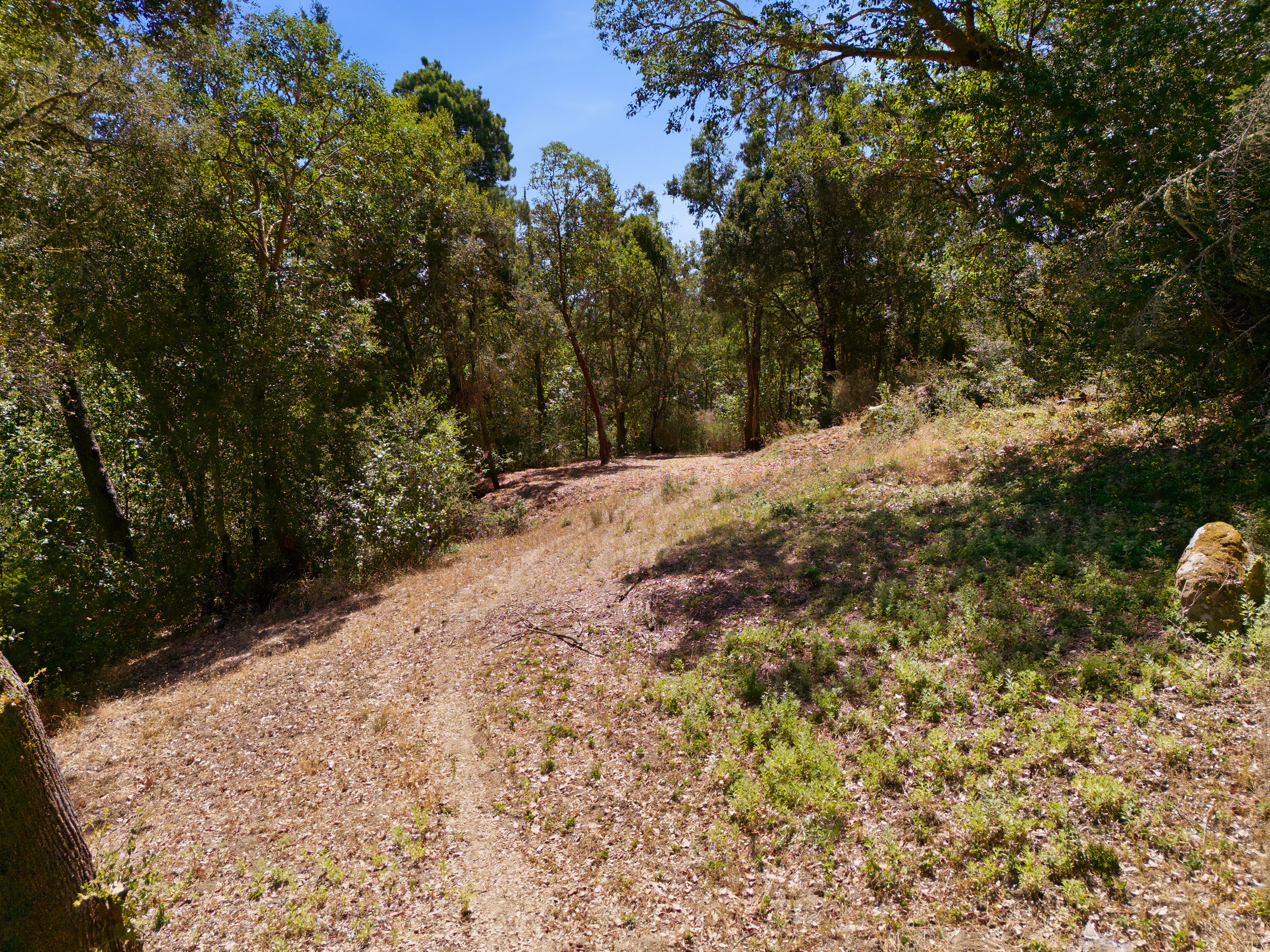  Exceptional Five-Acre Estate Opportunity with Bay Area Views - 物件實景