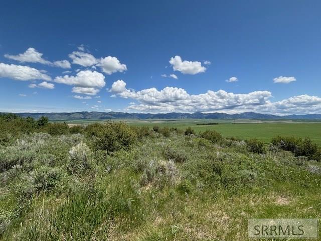 RIRIE, Idaho, 83443, United States, ,Residential,For Sale,1974893