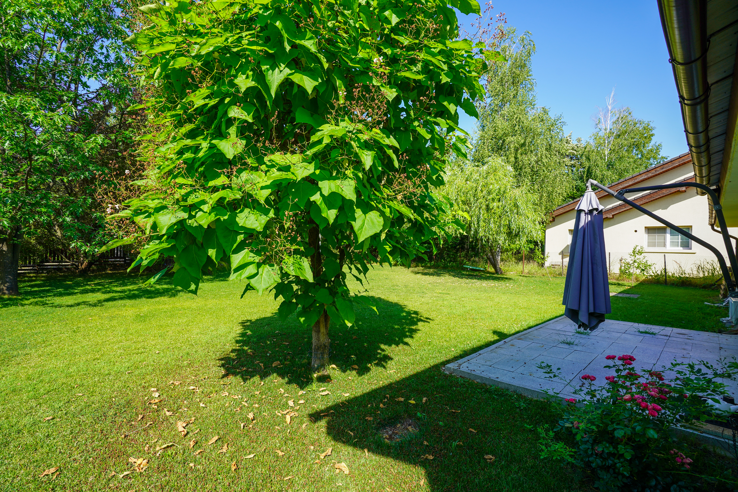  Villa on an Exceptional Plot in the Heart of Paradisul Verde, Corbeanca - 物件實景