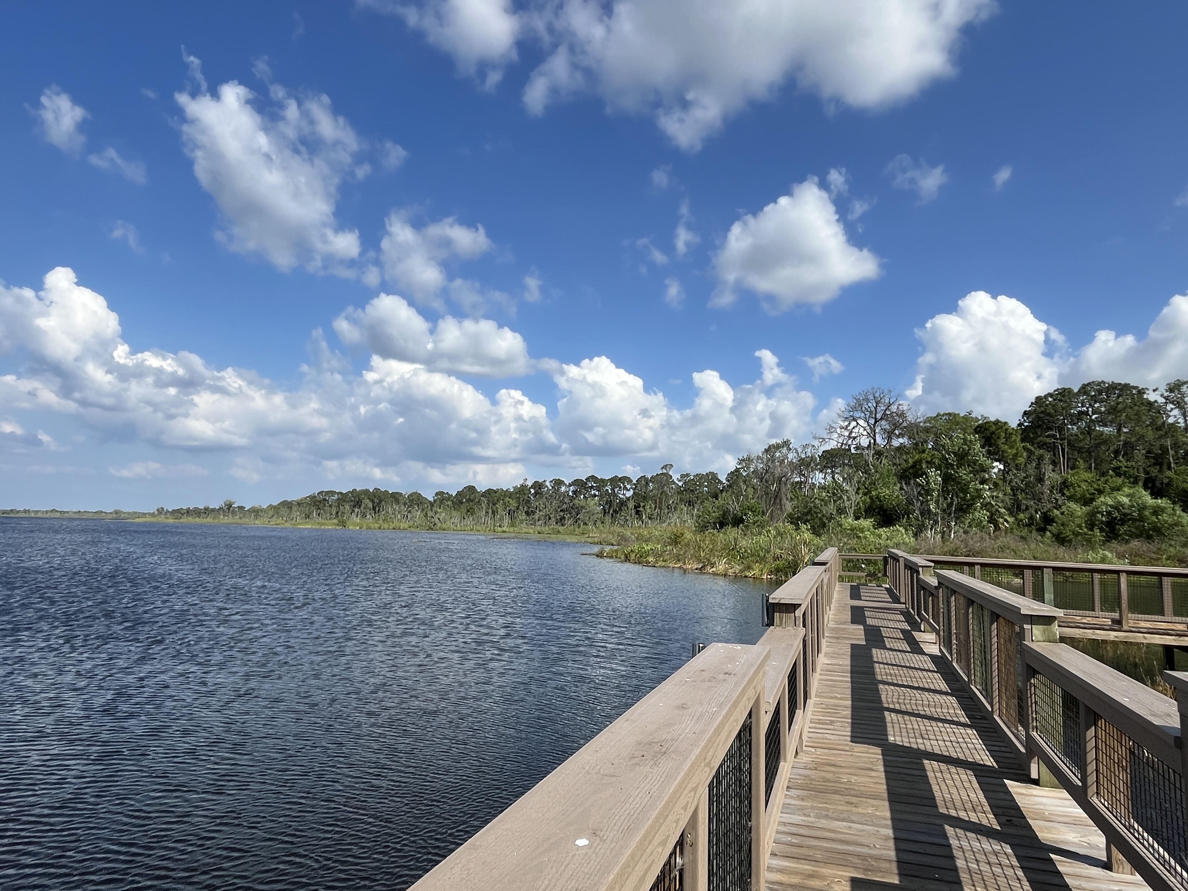 Wildwood, Florida, 34785, United States, 4 Bedrooms Bedrooms, ,2 BathroomsBathrooms,Residential,For Sale,1937472