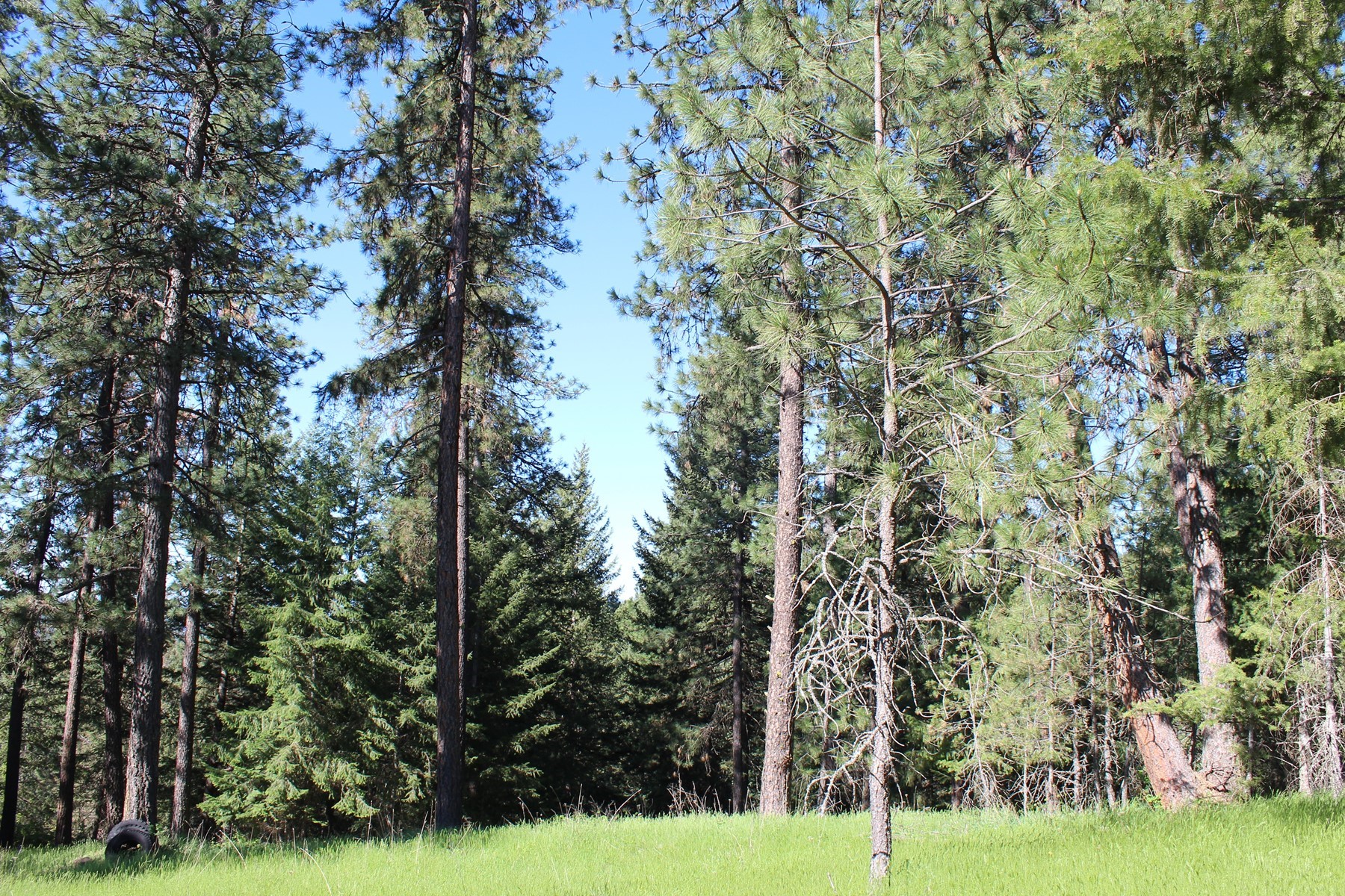  881 S Allen Rd and 2714 E Haven Dr Coeur d