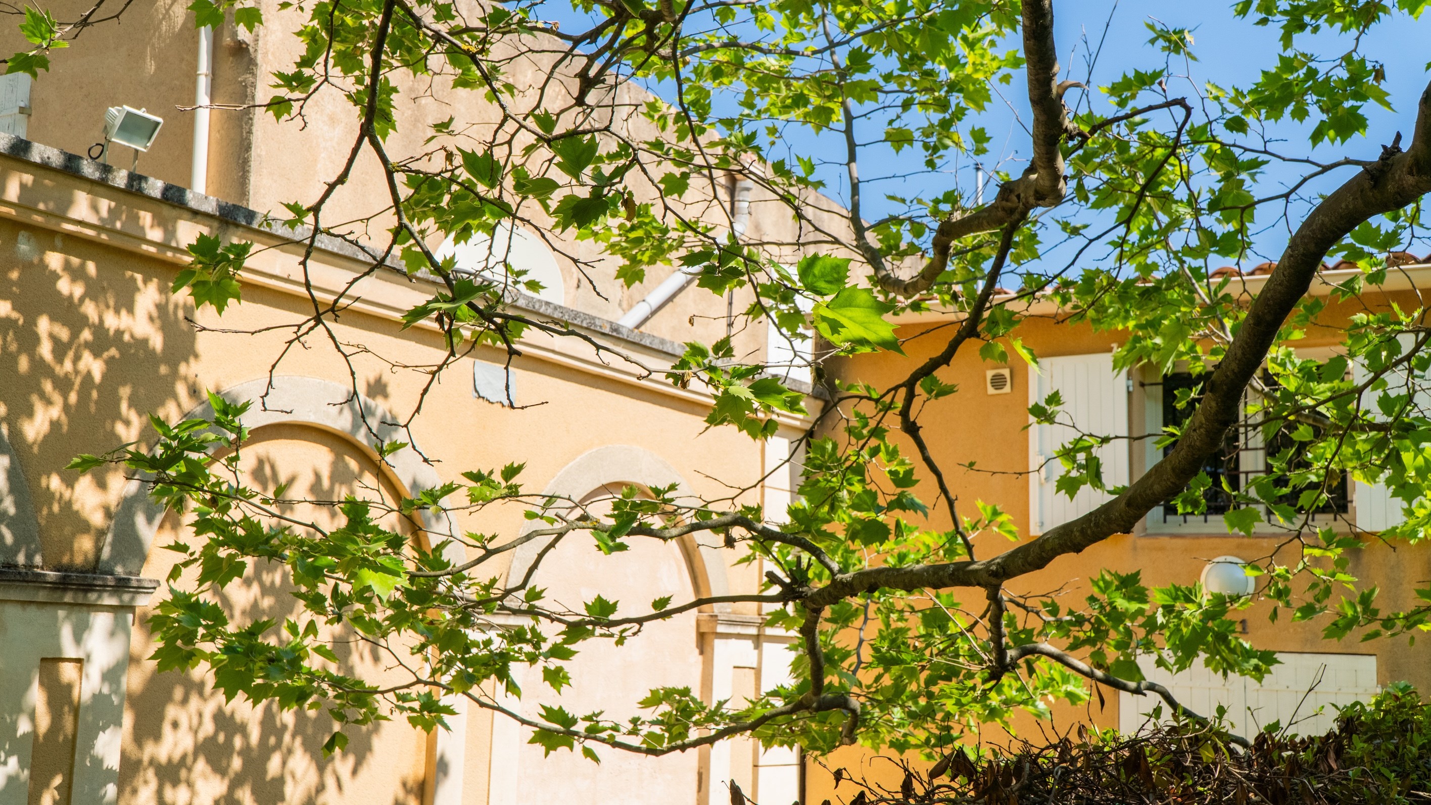  Multifunctional Property in the Heart of the Aix Countryside – Puyricard Area J… - 物件實景