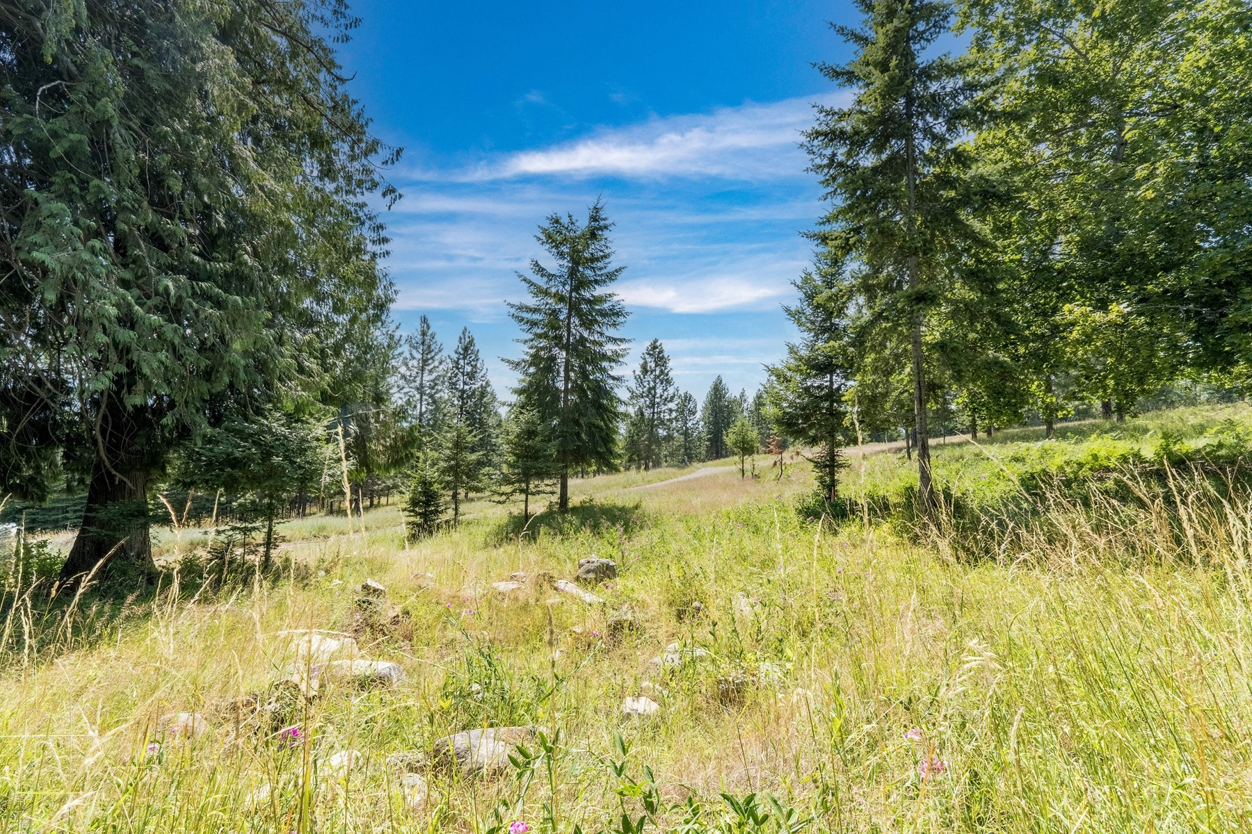  Lakeview 10 Acres in Hope Idaho - 物件實景
