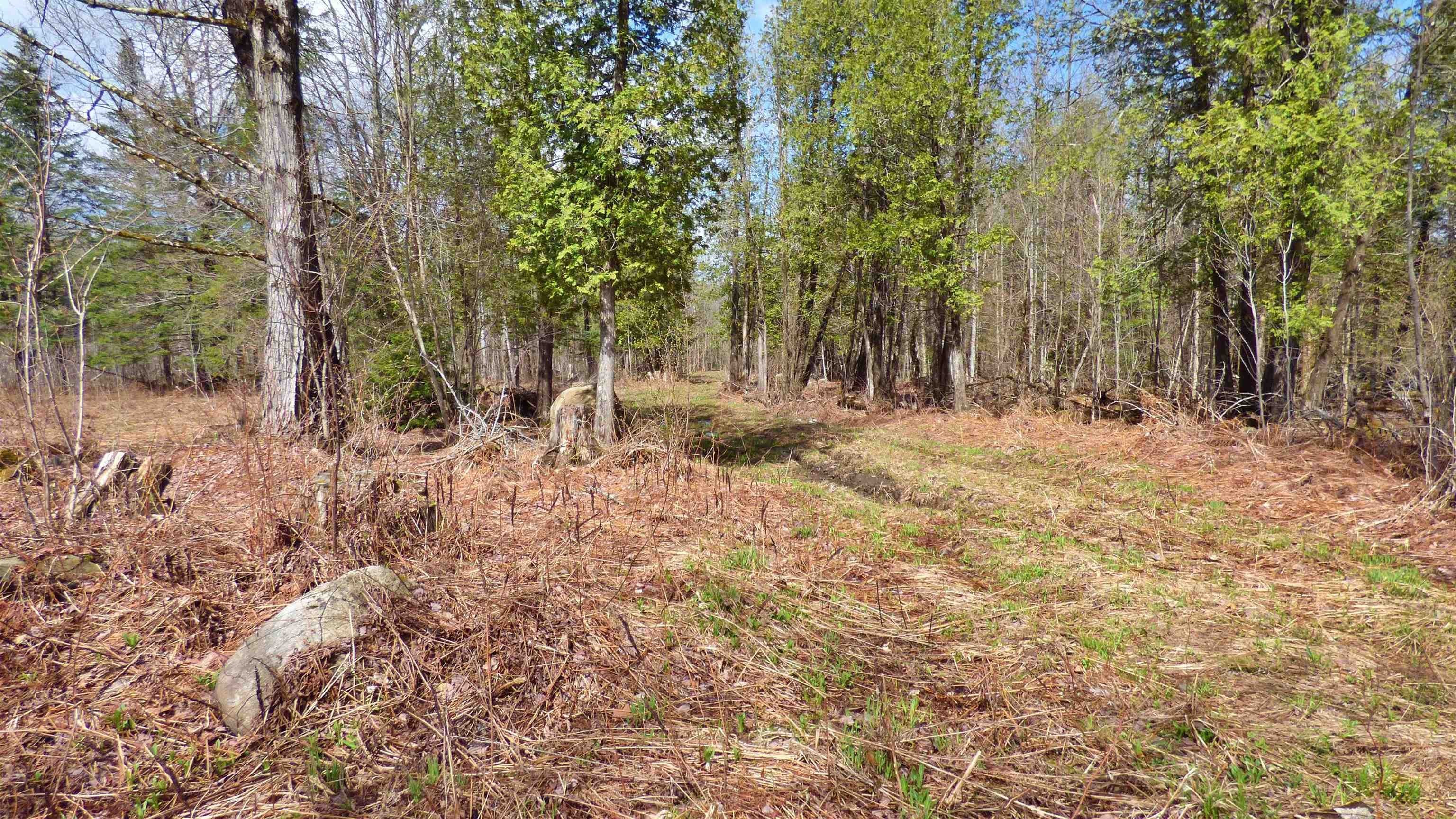 Wheelock, Vermont, 05851, United States, ,Land,For Sale,2017669