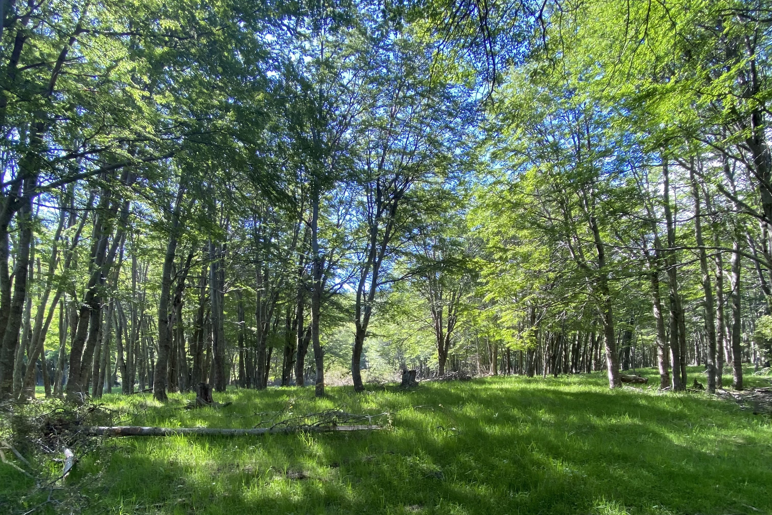  50-Hectare Property Adjacent to Cerro Castillo with 1.3 km of Waterfront - 物件實景