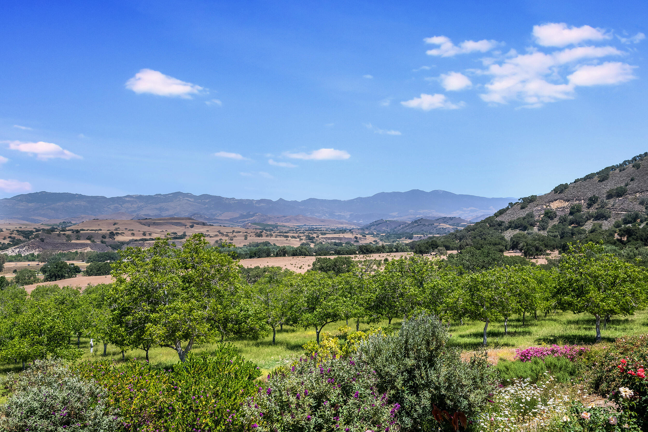 Santa Ynez, California, 93460, United States, 3 Bedrooms Bedrooms, ,6 BathroomsBathrooms,Residential,For Sale,1709883