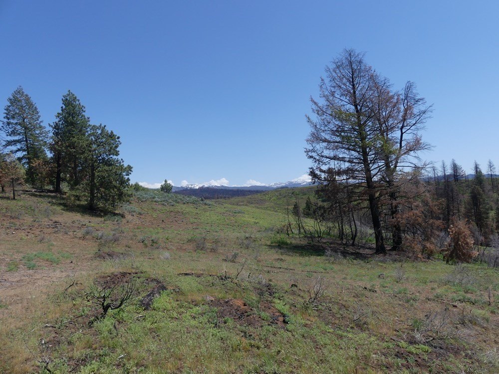 Indian Valley, Idaho, 83682, United States, ,Land,For Sale,1976667