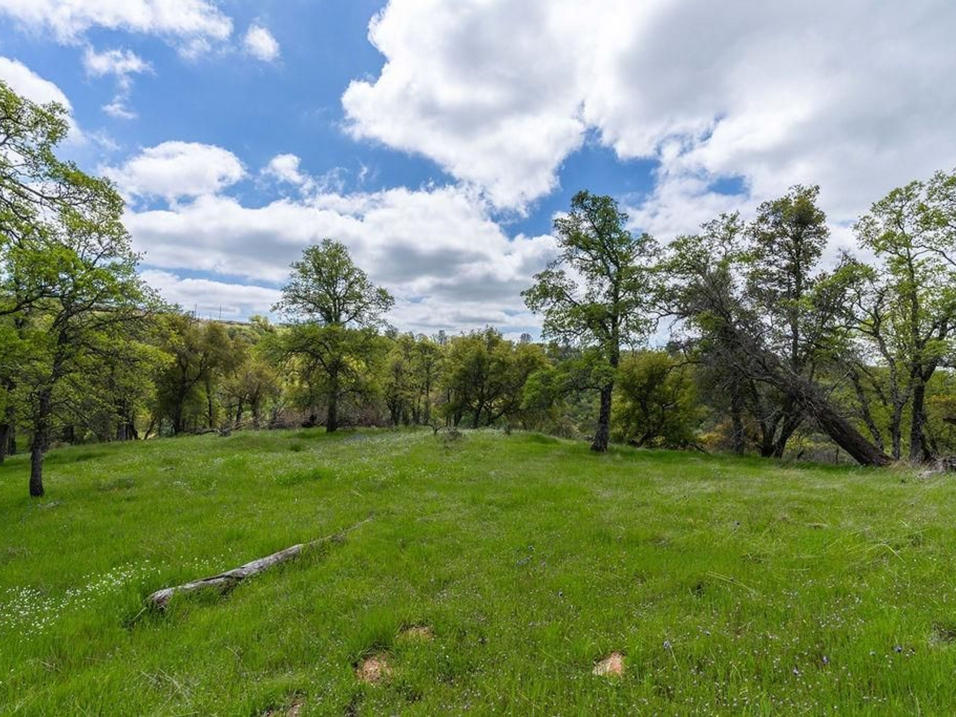  10865 Sunset Drive, Sutter Creek, CA 95685 - 物件實景