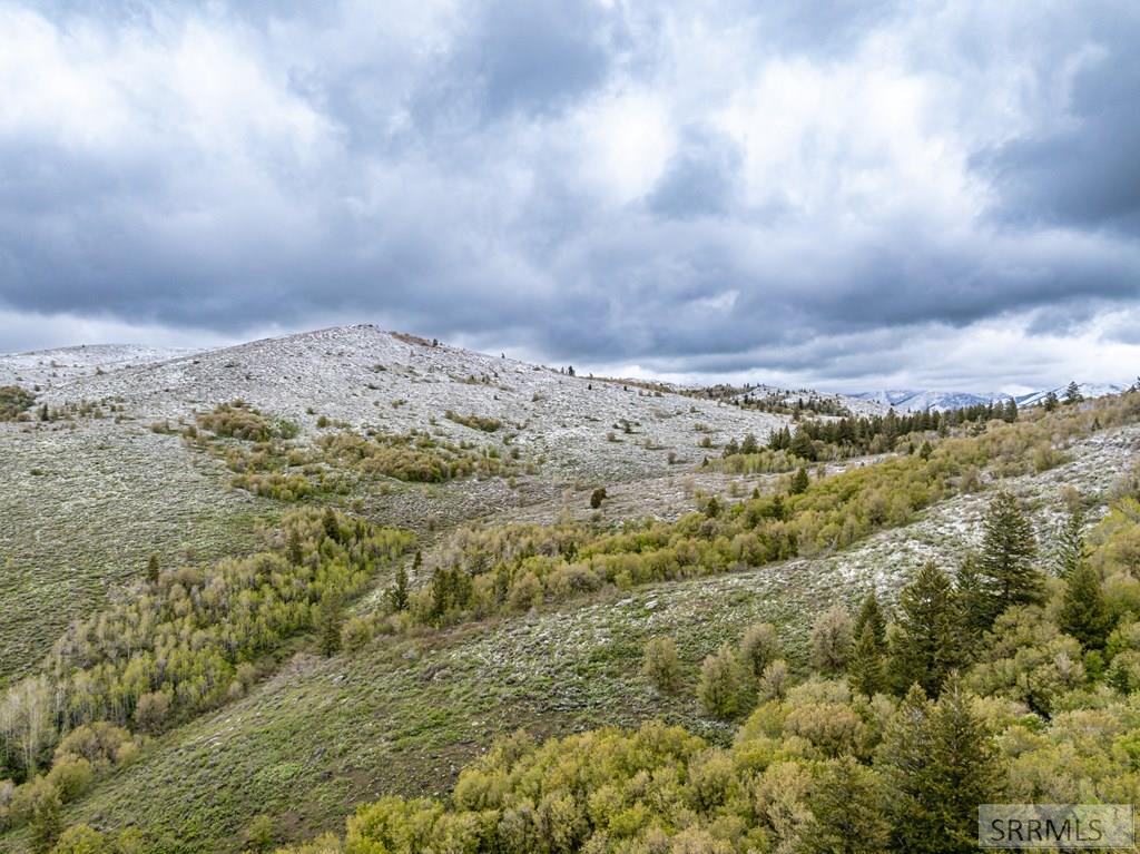 POCATELLO, Idaho, 83201, United States, ,Residential,For Sale,1928703