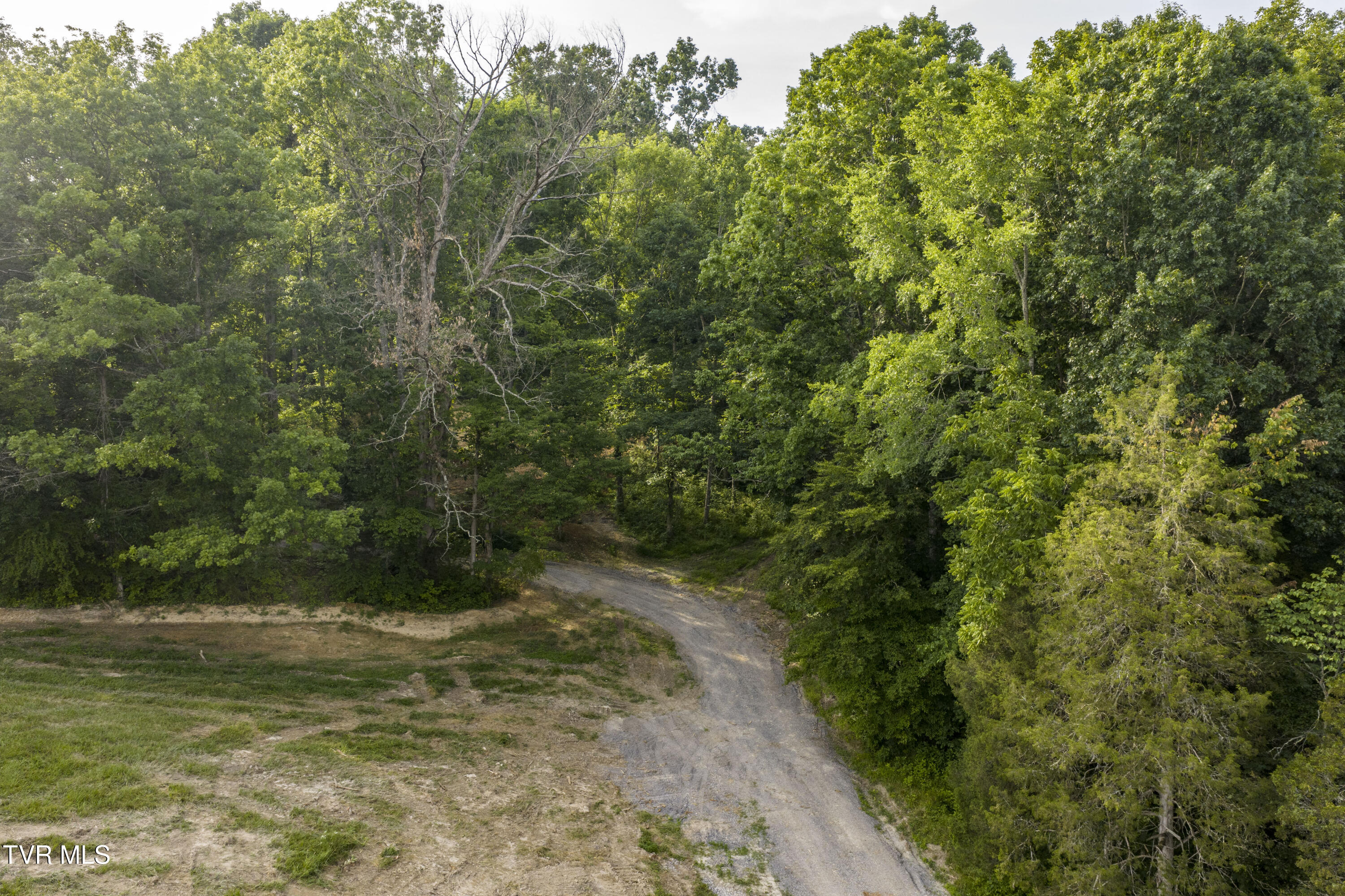 Piney Flats, Tennessee, 37686, United States, ,Land,For Sale,1983828