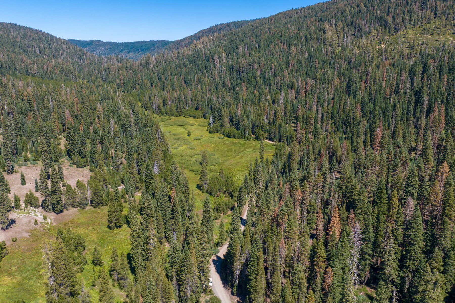  80 Acres of Pristine Land in the Middle of Plumas Eureka State Park - 物件實景