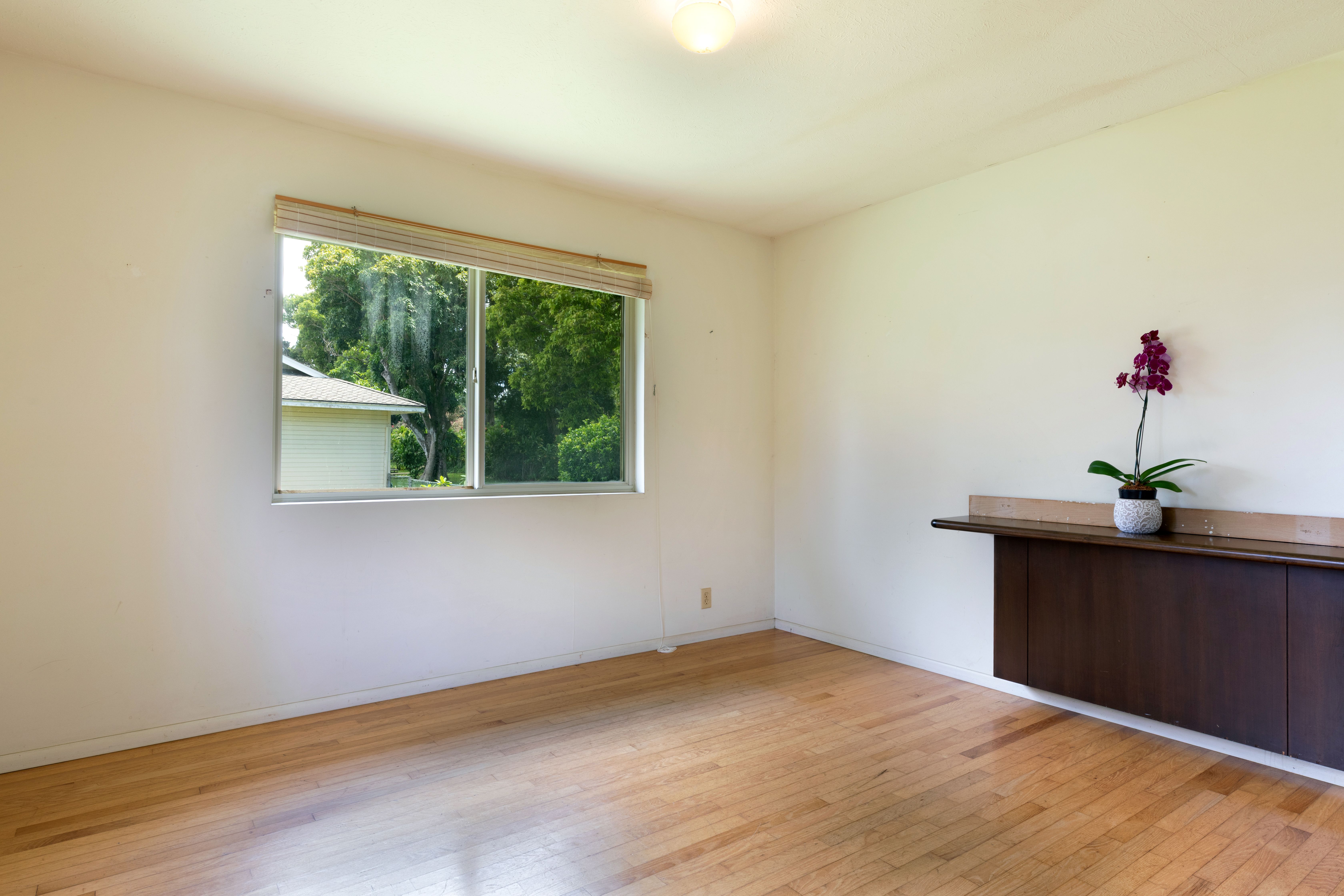  55-508 Ilina Rd, Hawi, HI, 96719 - 物件實景