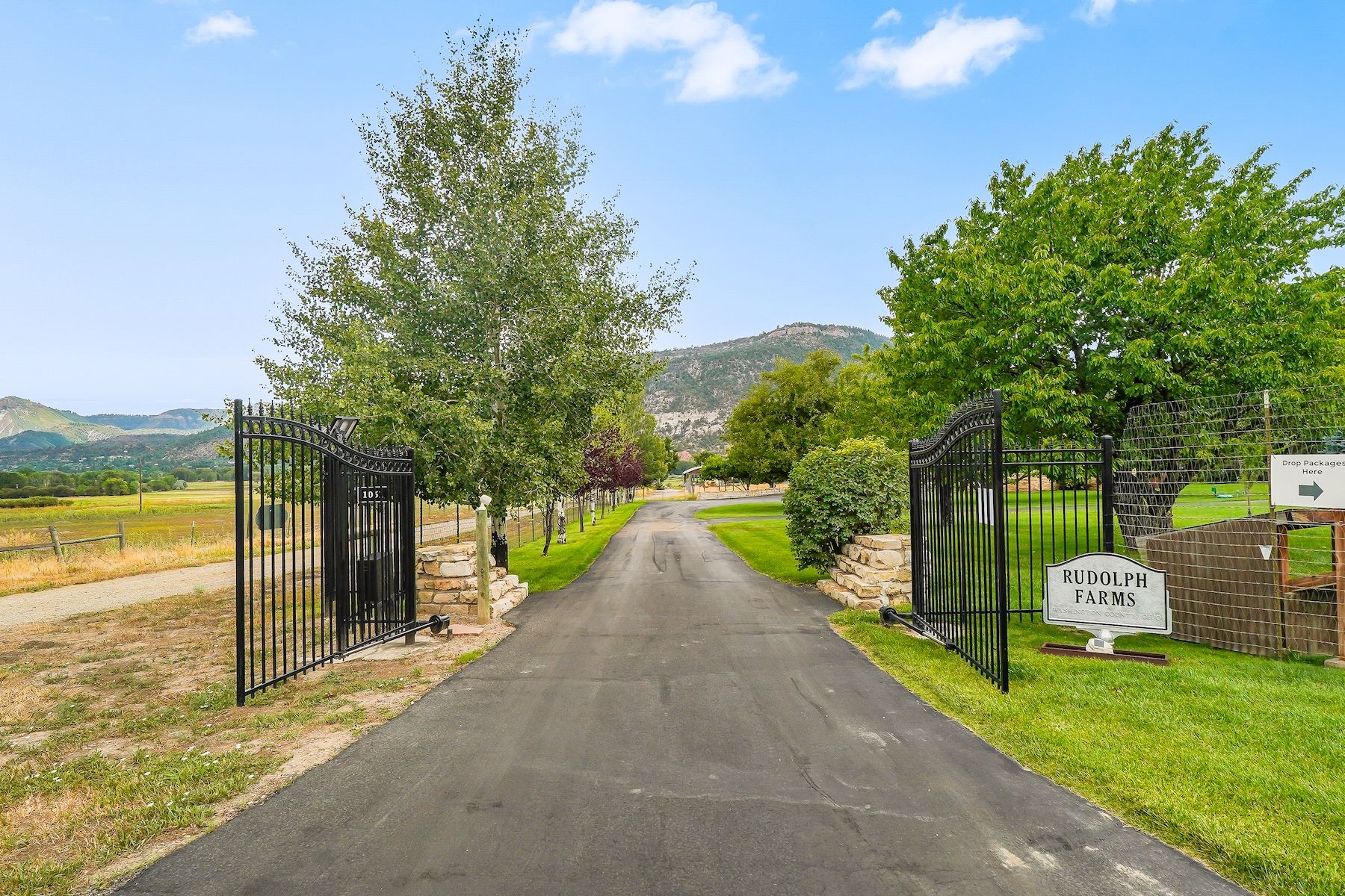  1051 County Road 250, Durango, CO 81301 - 物件實景
