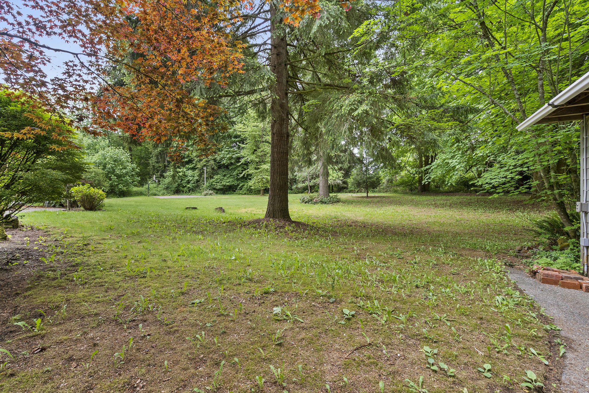  3809 74th Ave SE Olympia, WA 98501 - 物件實景