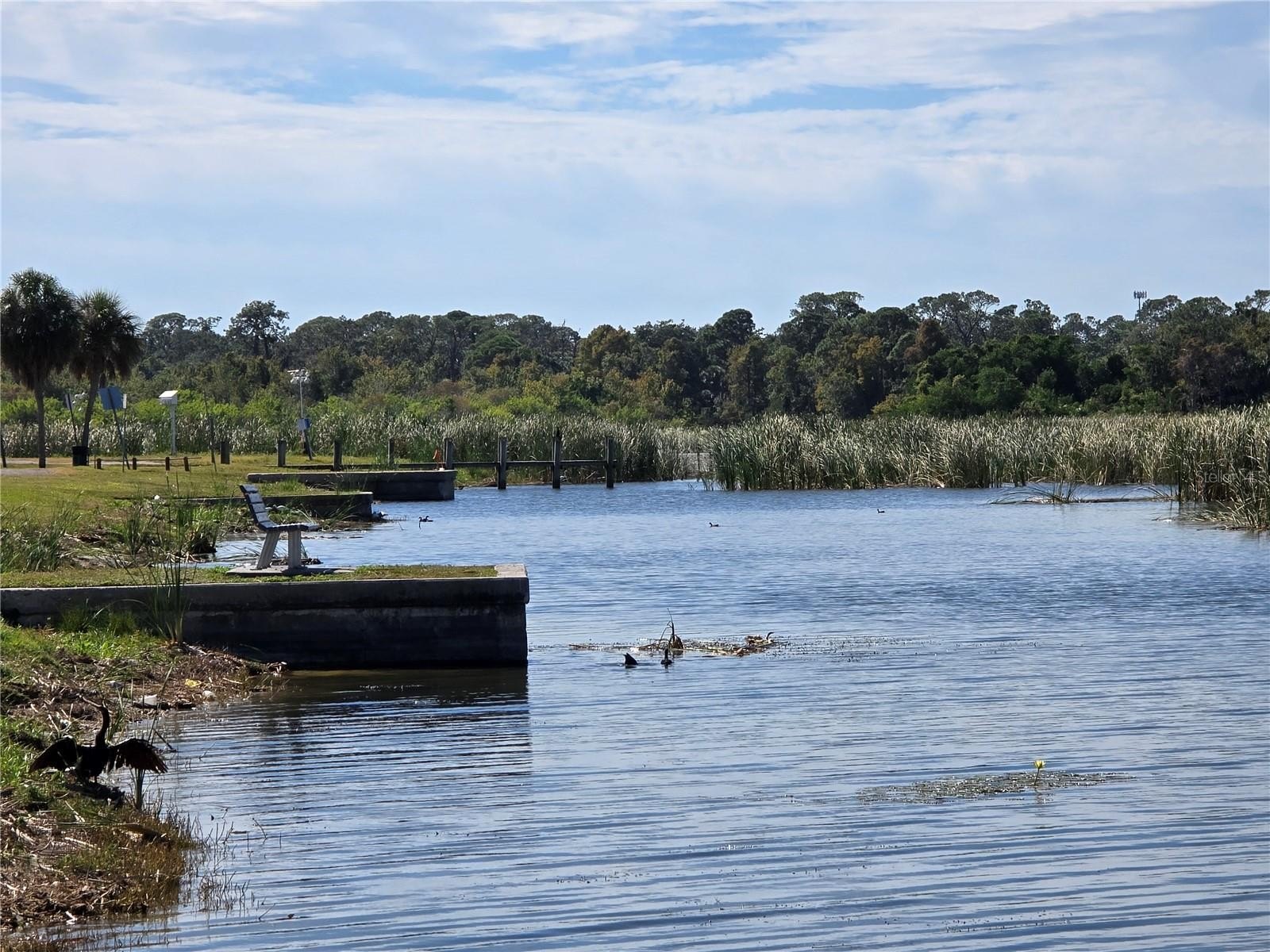 ST PETERSBURG, Florida, 33705, United States, 3 Bedrooms Bedrooms, ,2 BathroomsBathrooms,Residential,For Sale,1989946