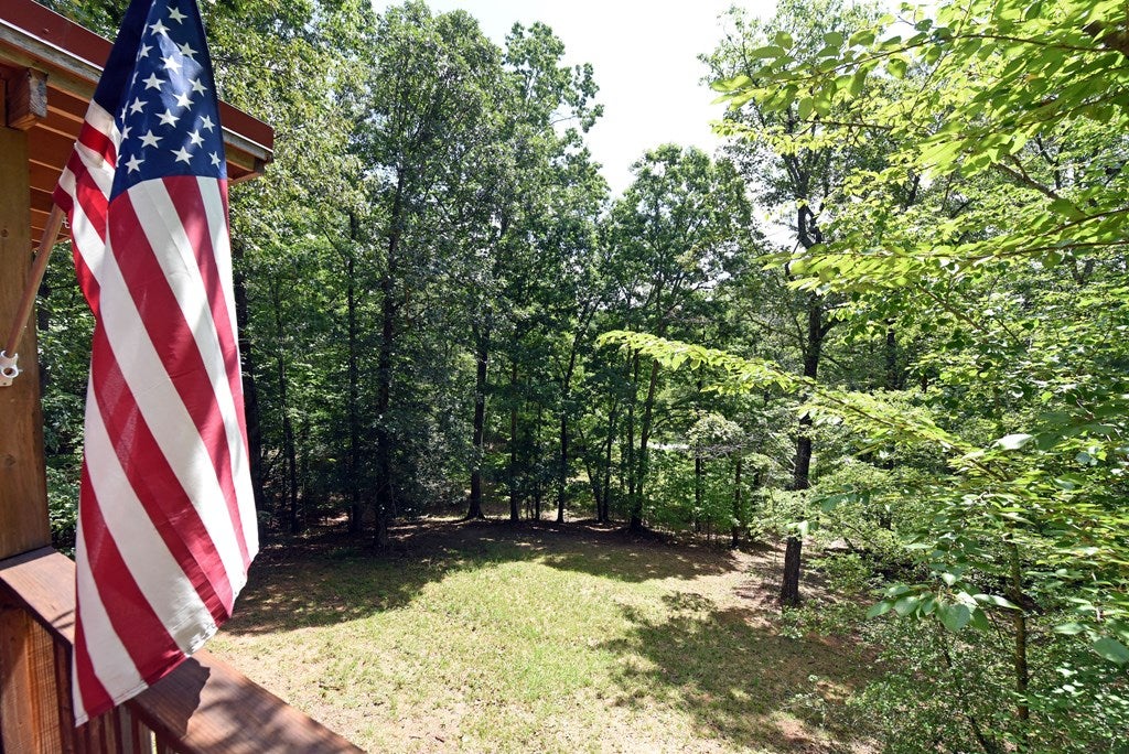 Mineral Bluff, Georgia, 30559, United States, 3 Bedrooms Bedrooms, ,3 BathroomsBathrooms,Residential,For Sale,1882955
