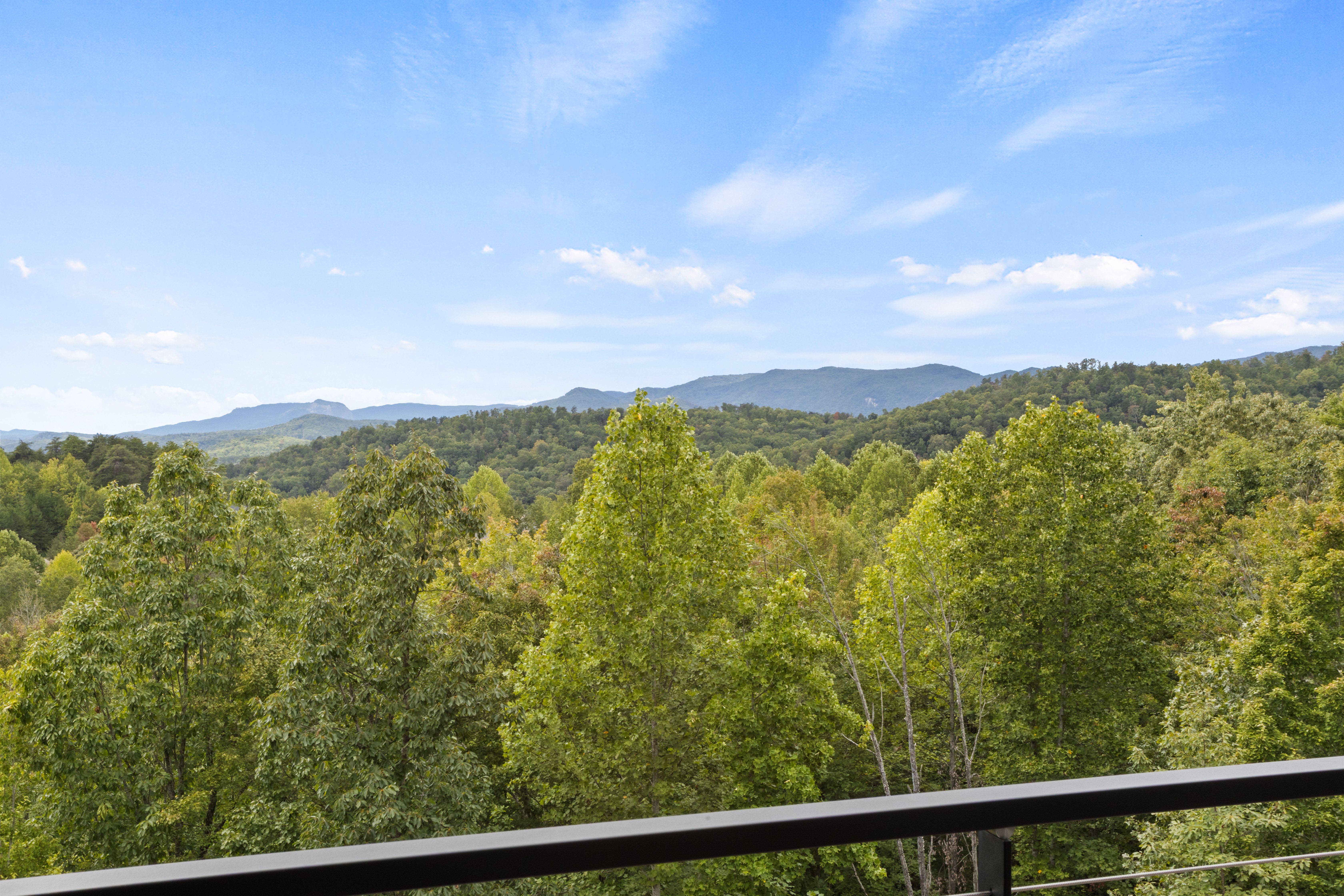  29 Sweetleaf Court, Marietta, SC 29661 - 物件實景